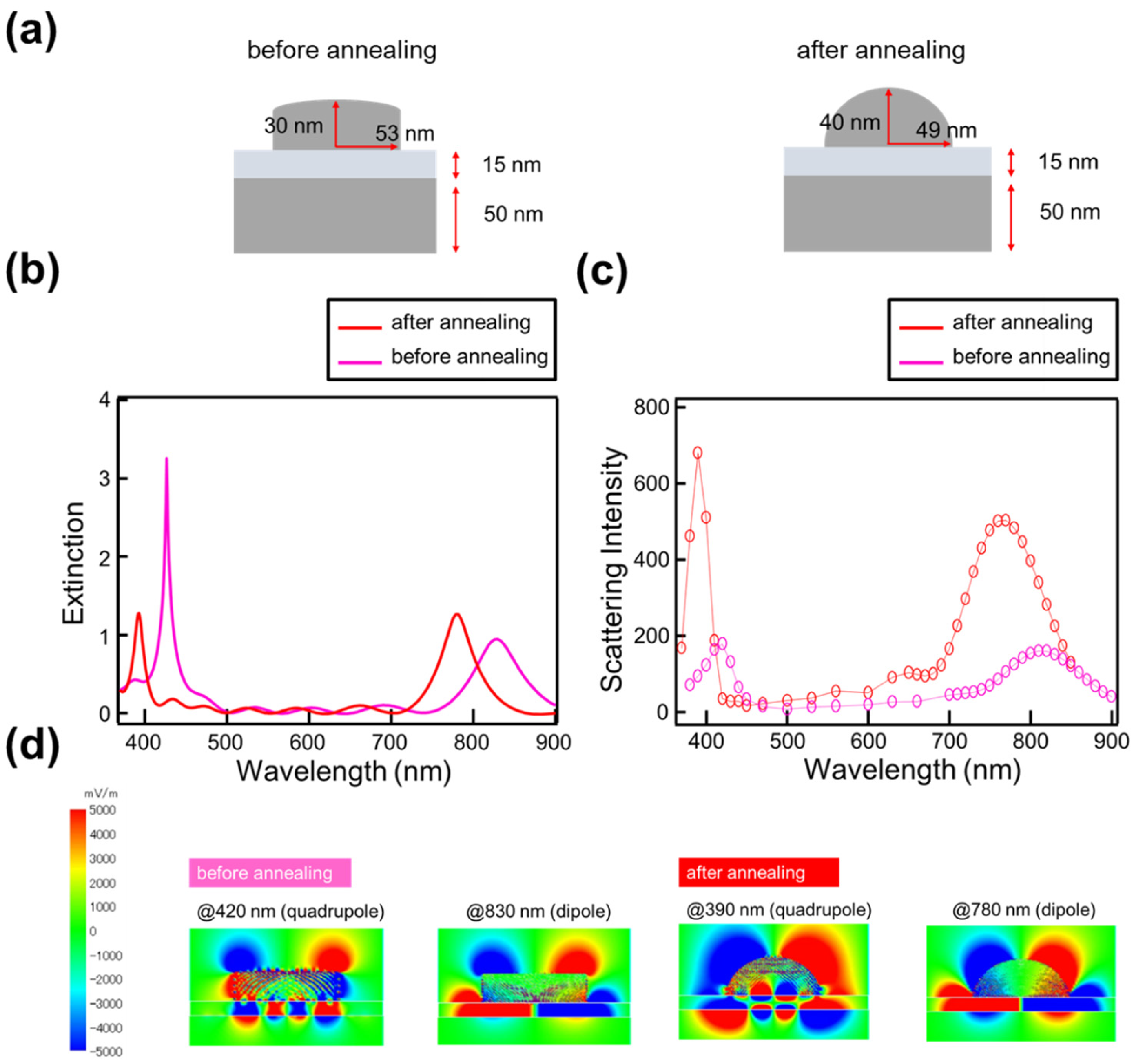 Nanomaterials 14 01559 g007