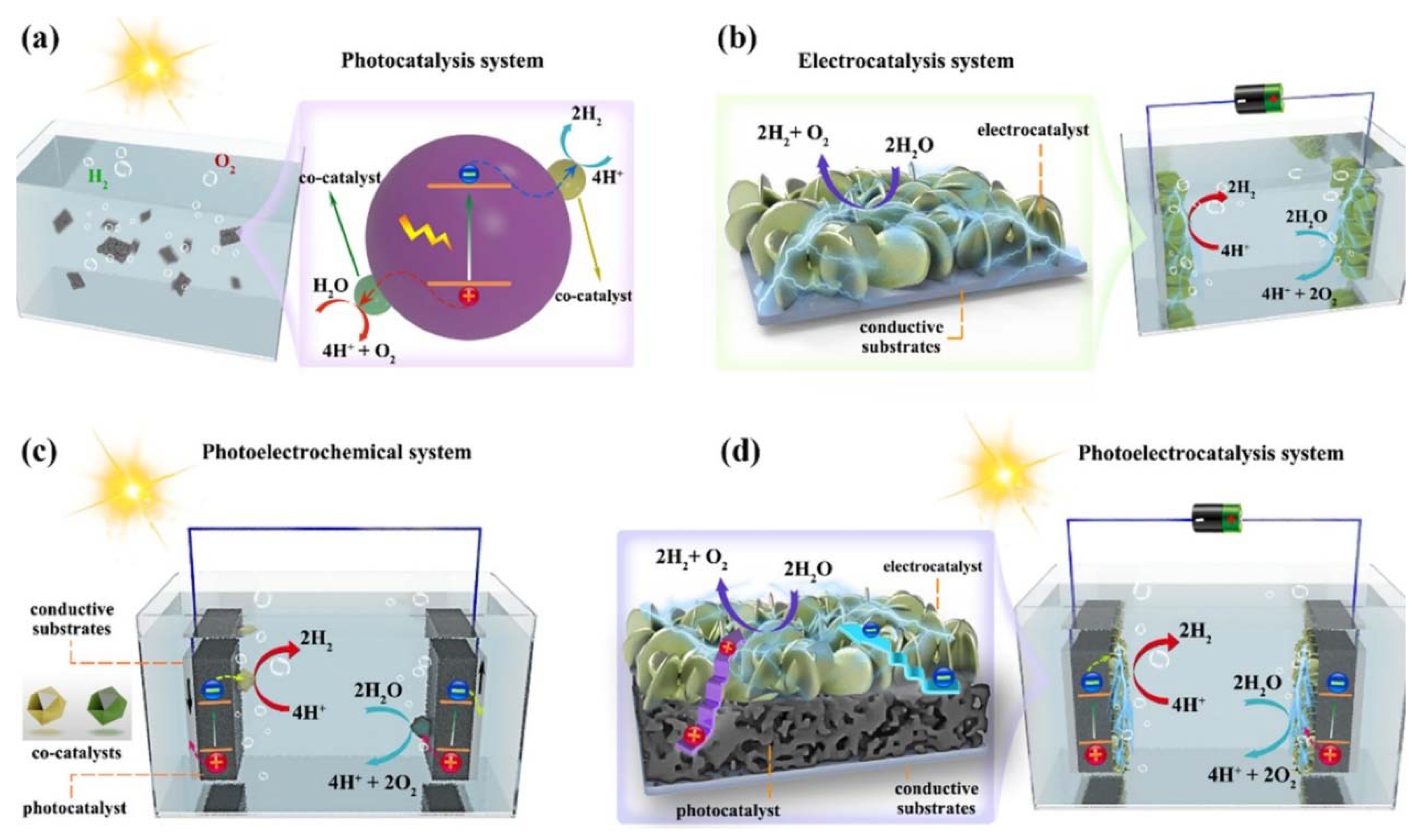 Nanomaterials 14 01560 g004 Nanomaterials 14 01560 g004