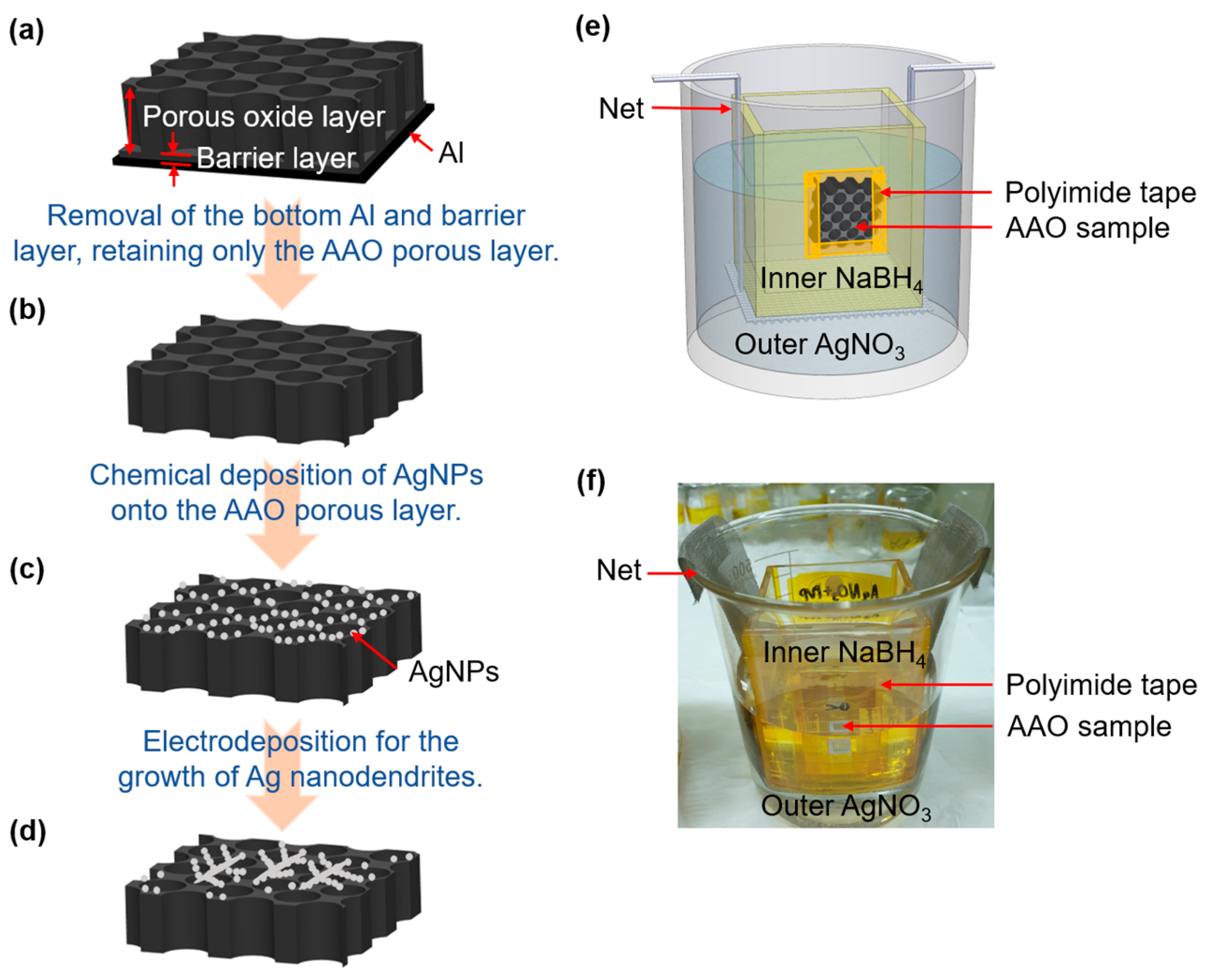 Nanomaterials 14 01562 g001