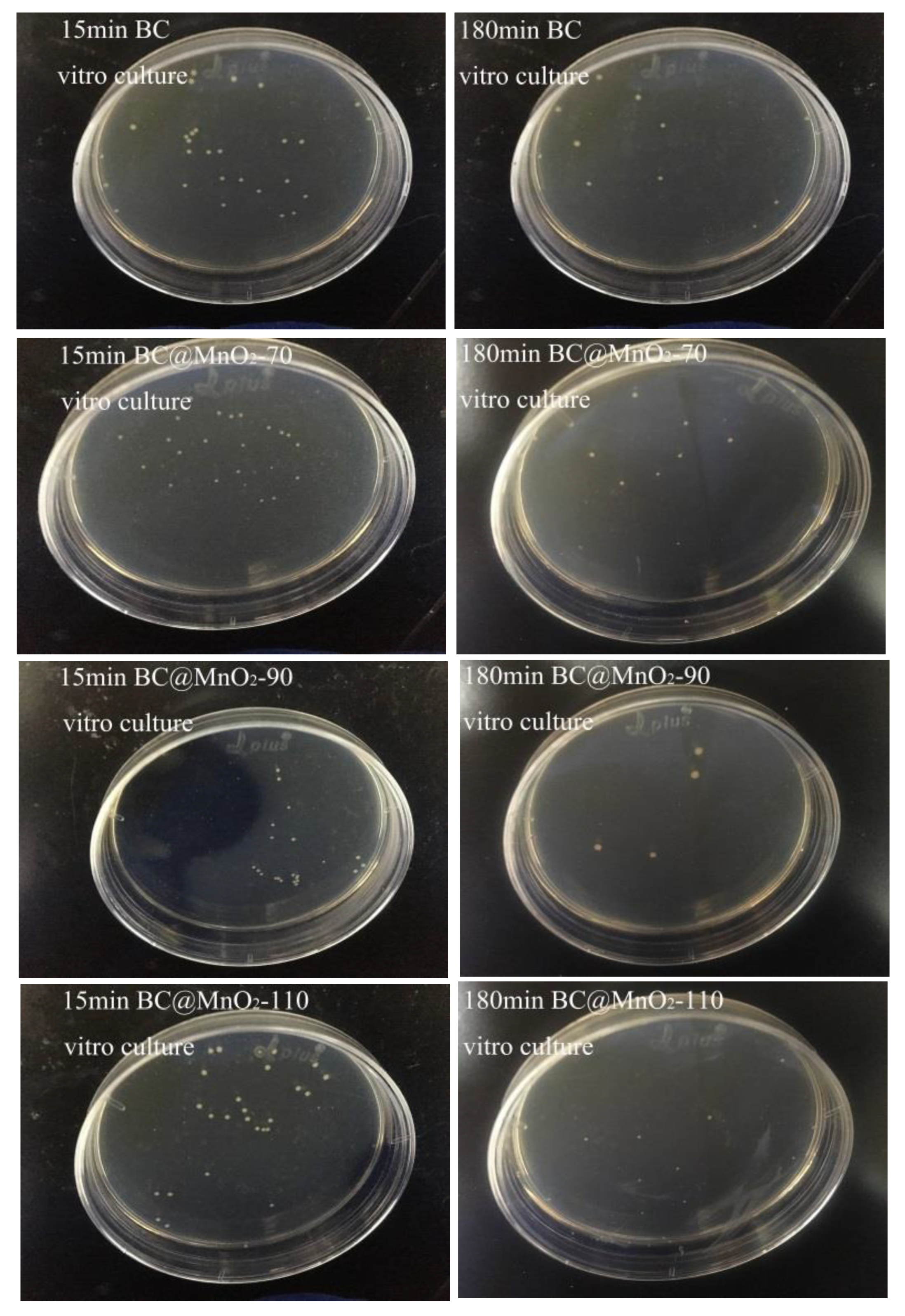 Nanomaterials 14 01565 g007