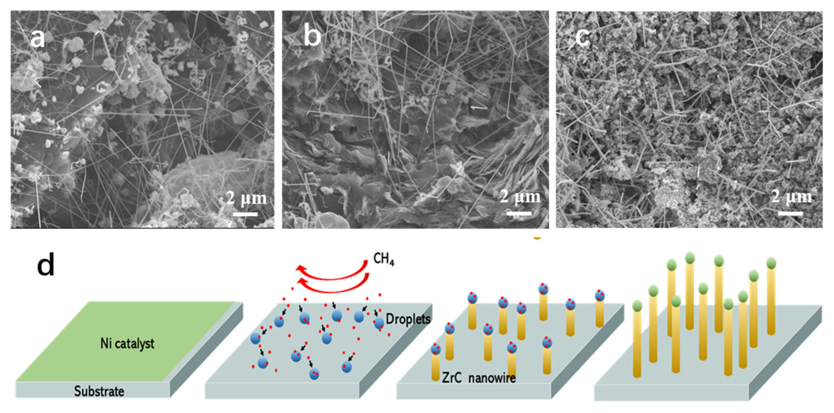 Nanomaterials 14 01567 g004