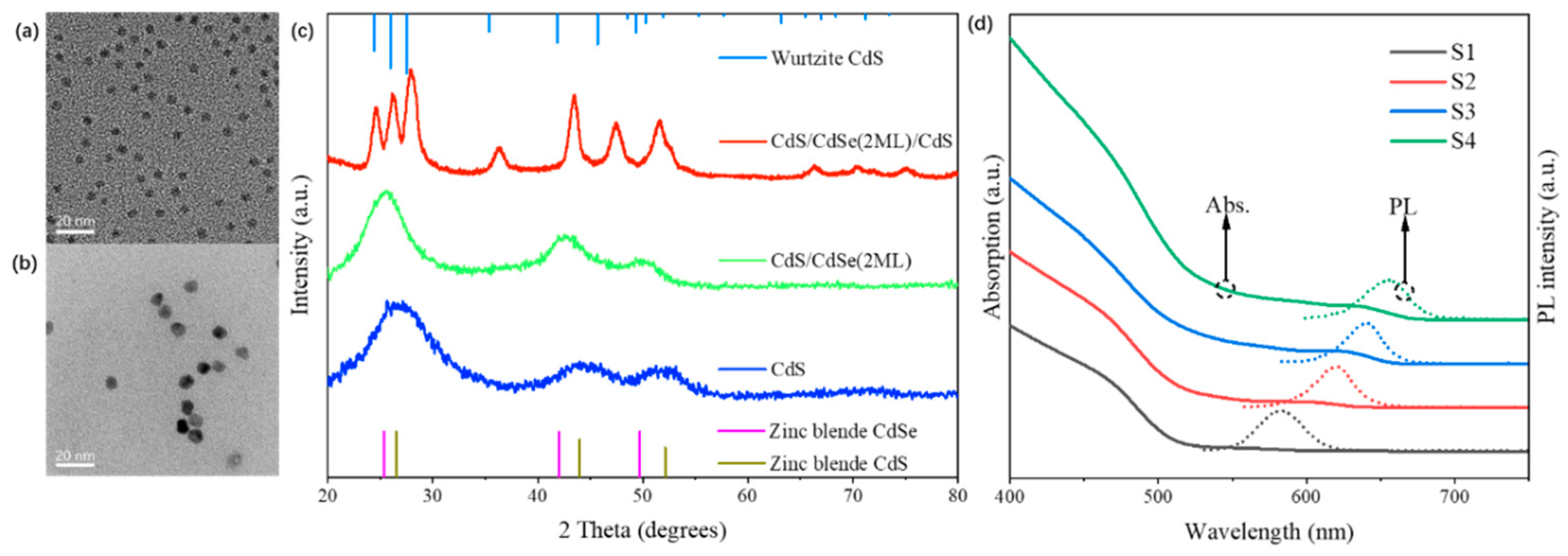Nanomaterials 14 01568 g001