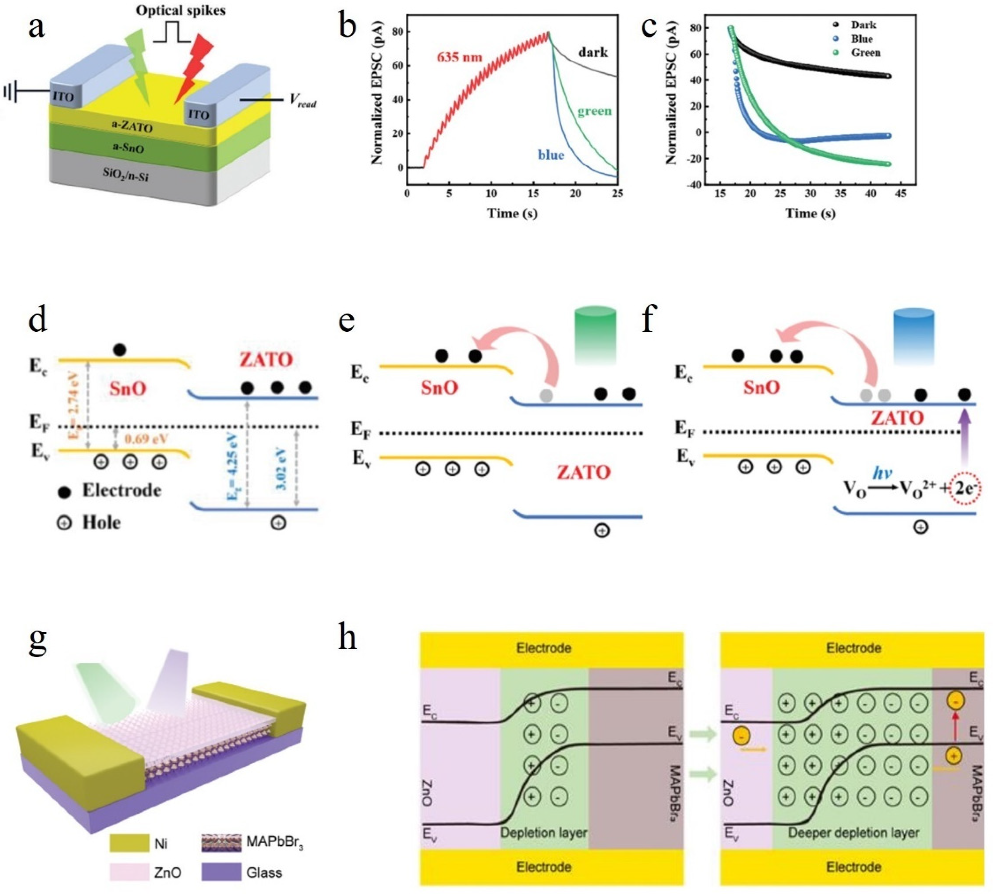 Nanomaterials 14 01573 g006