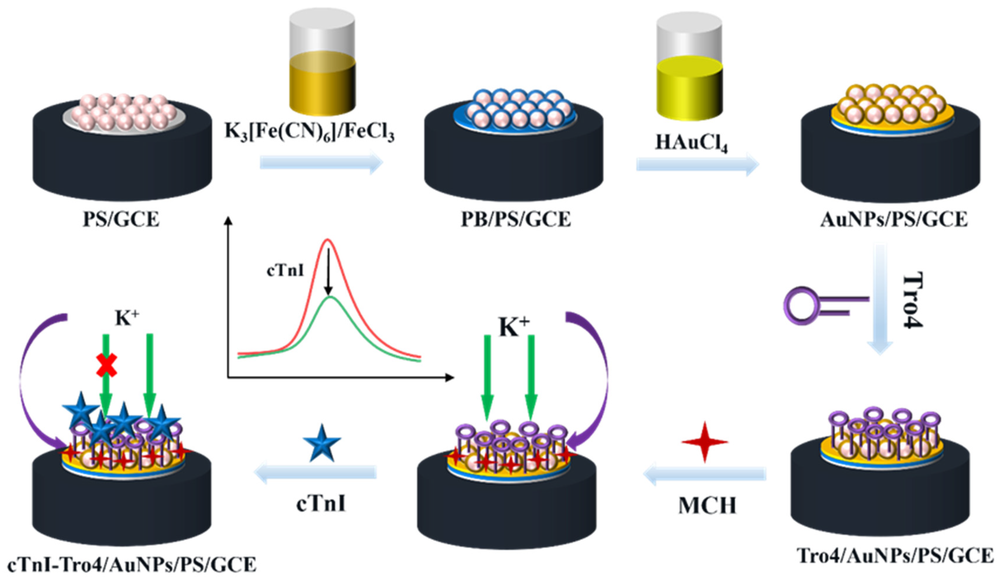 Nanomaterials 14 01579 sch001