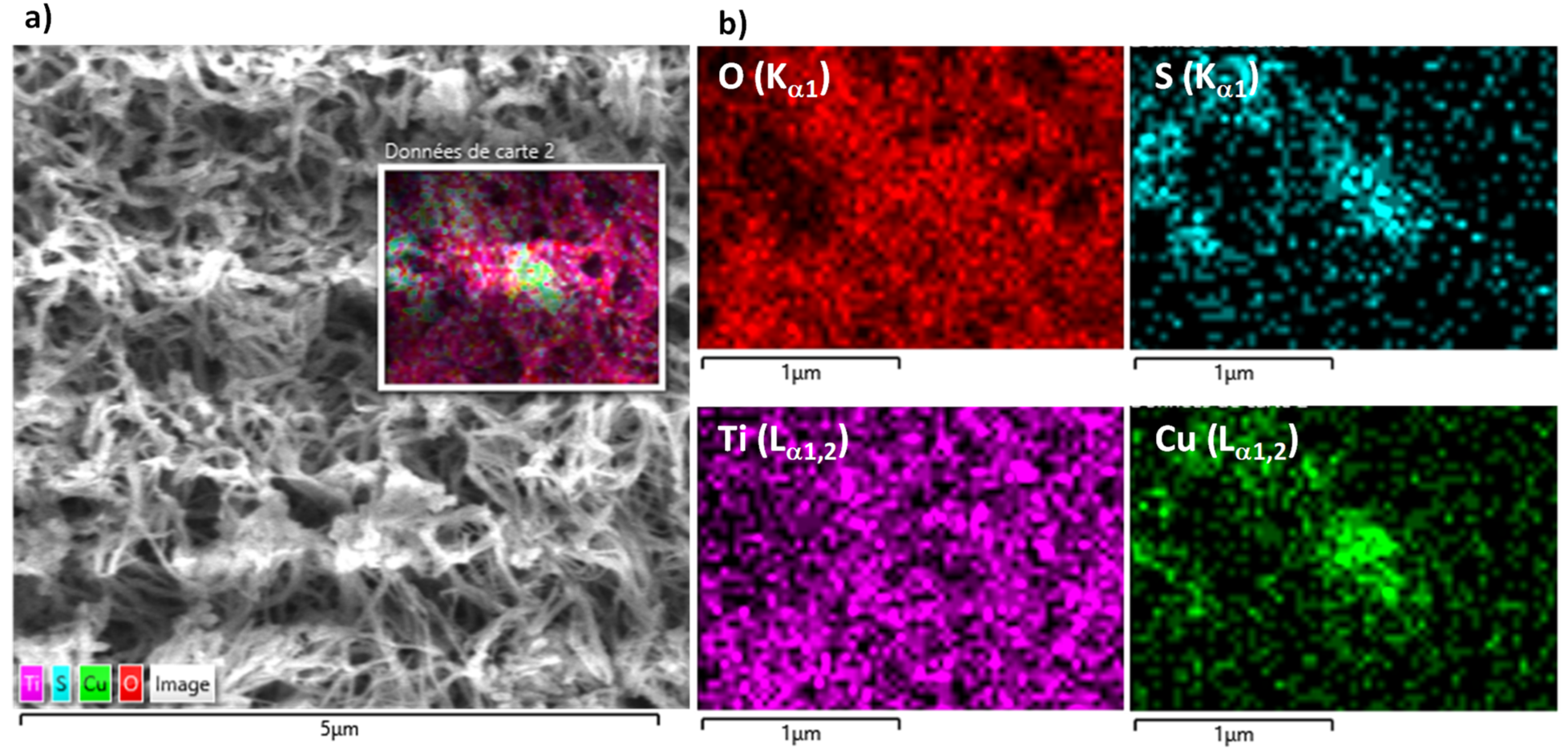 Nanomaterials 14 01581 g004
