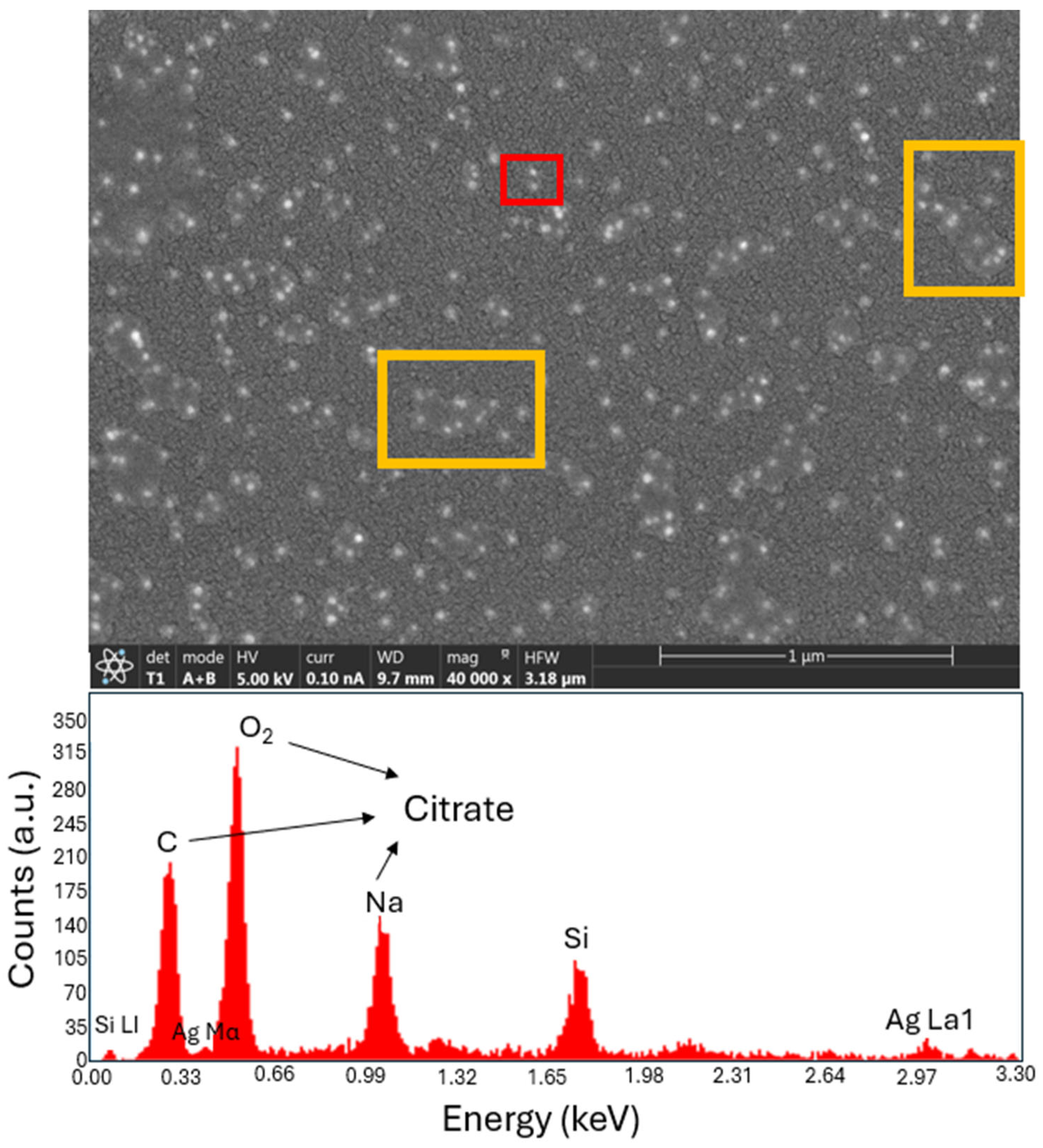 Nanomaterials 14 01582 g002