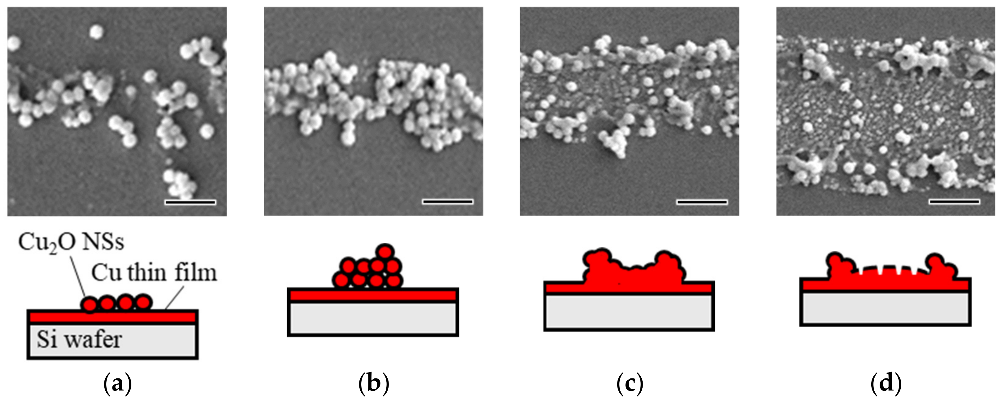 Nanomaterials 14 01584 g006