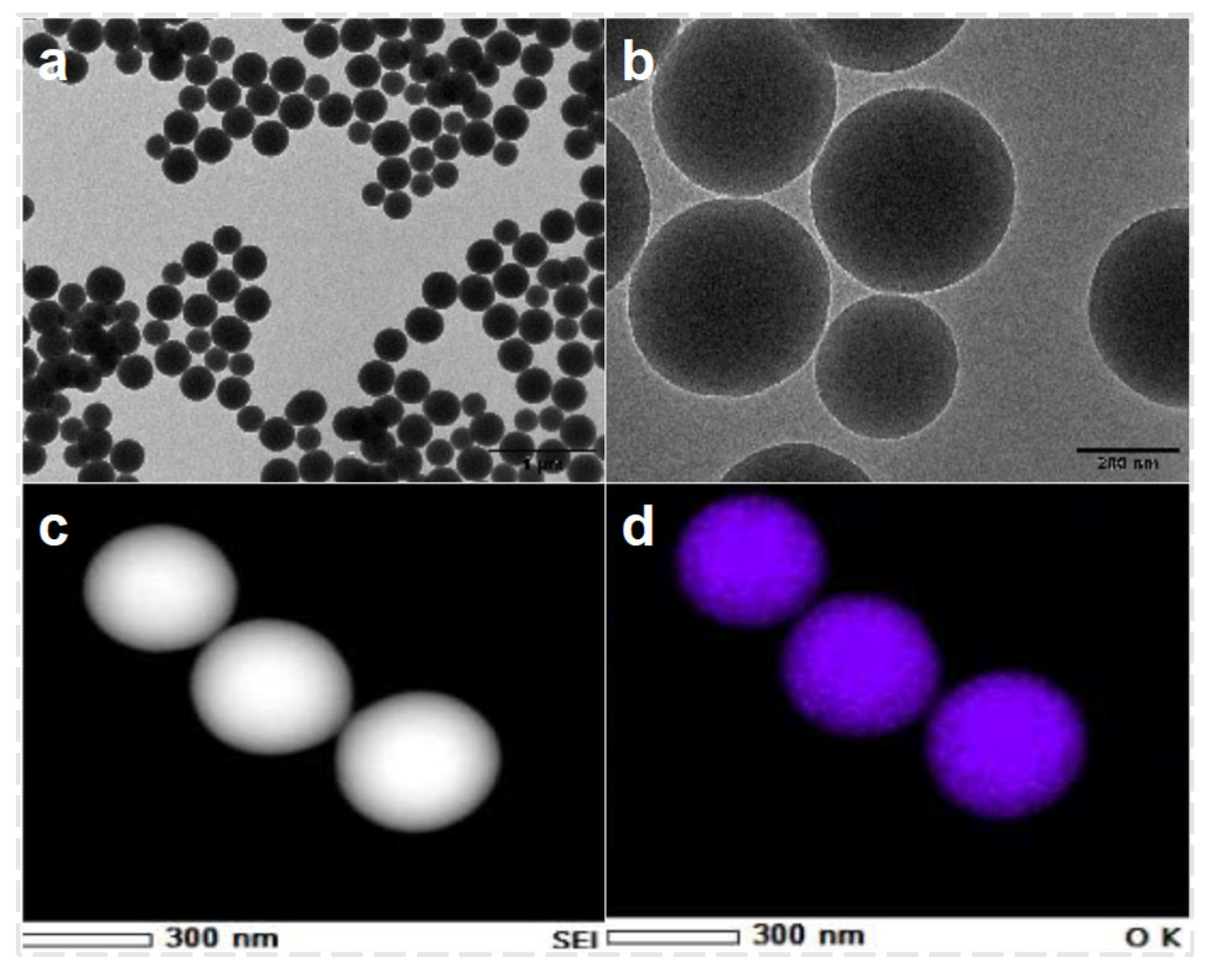 Nanomaterials 14 01590 g005