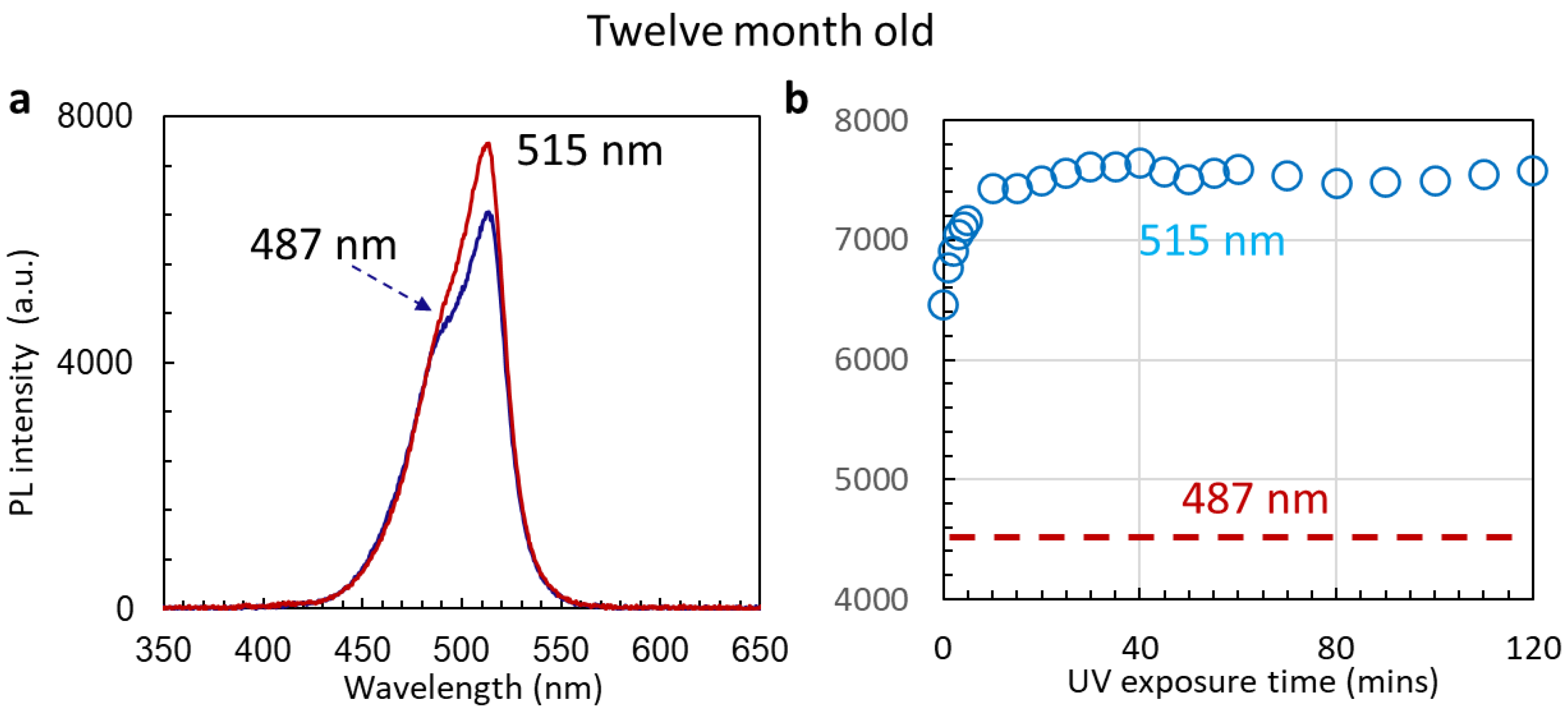 Nanomaterials 14 01596 g009