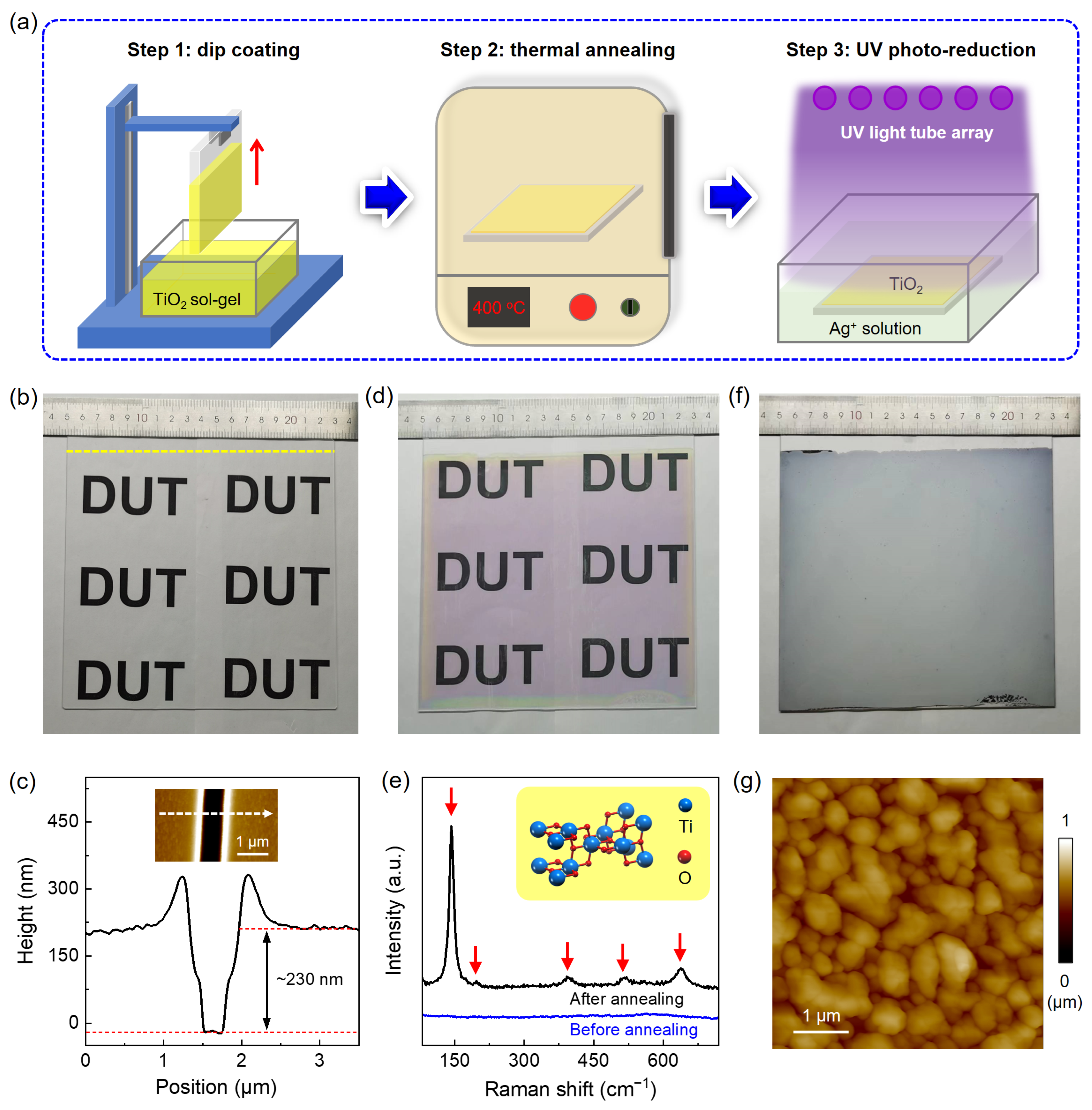 Nanomaterials 14 01597 g001