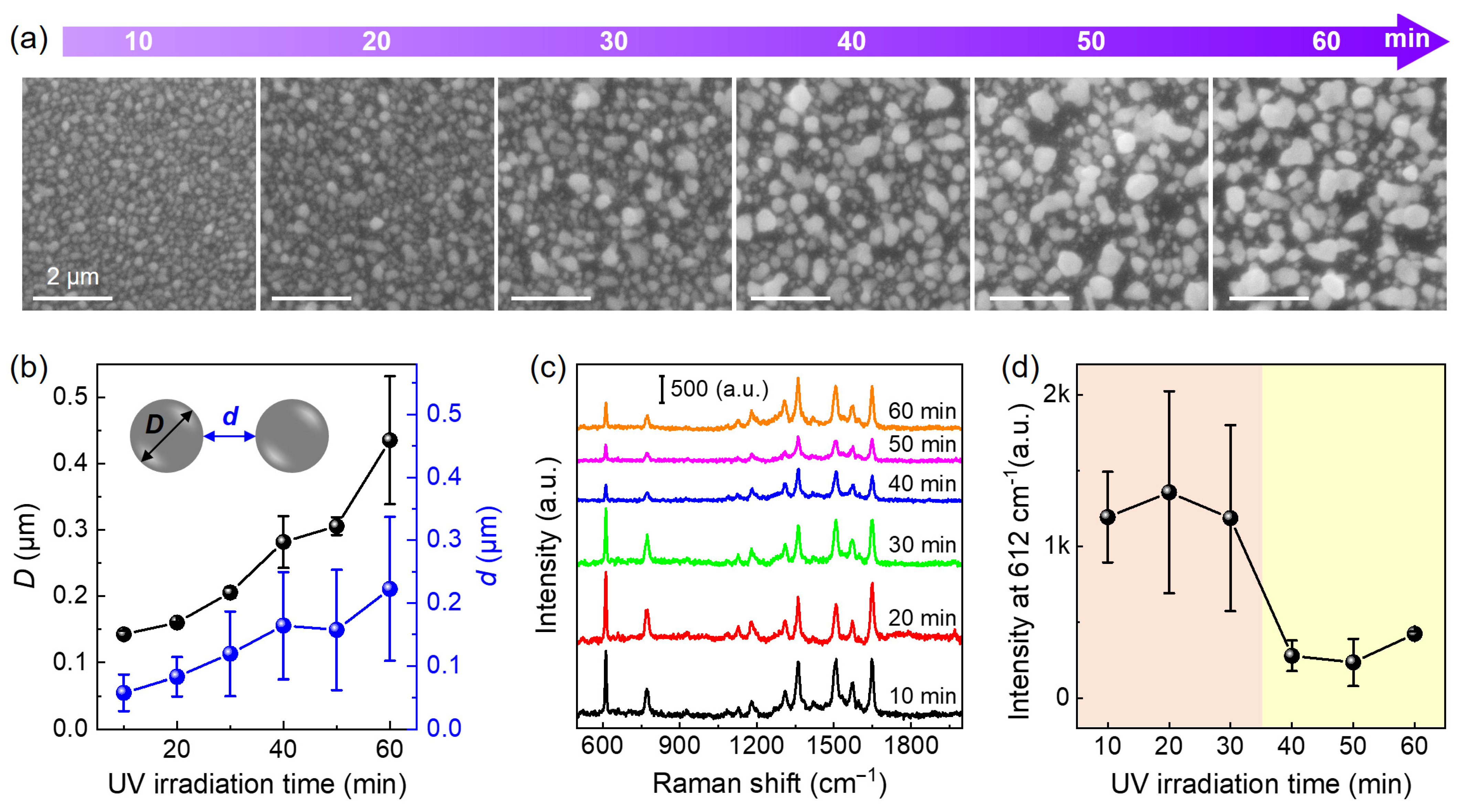 Nanomaterials 14 01597 g002