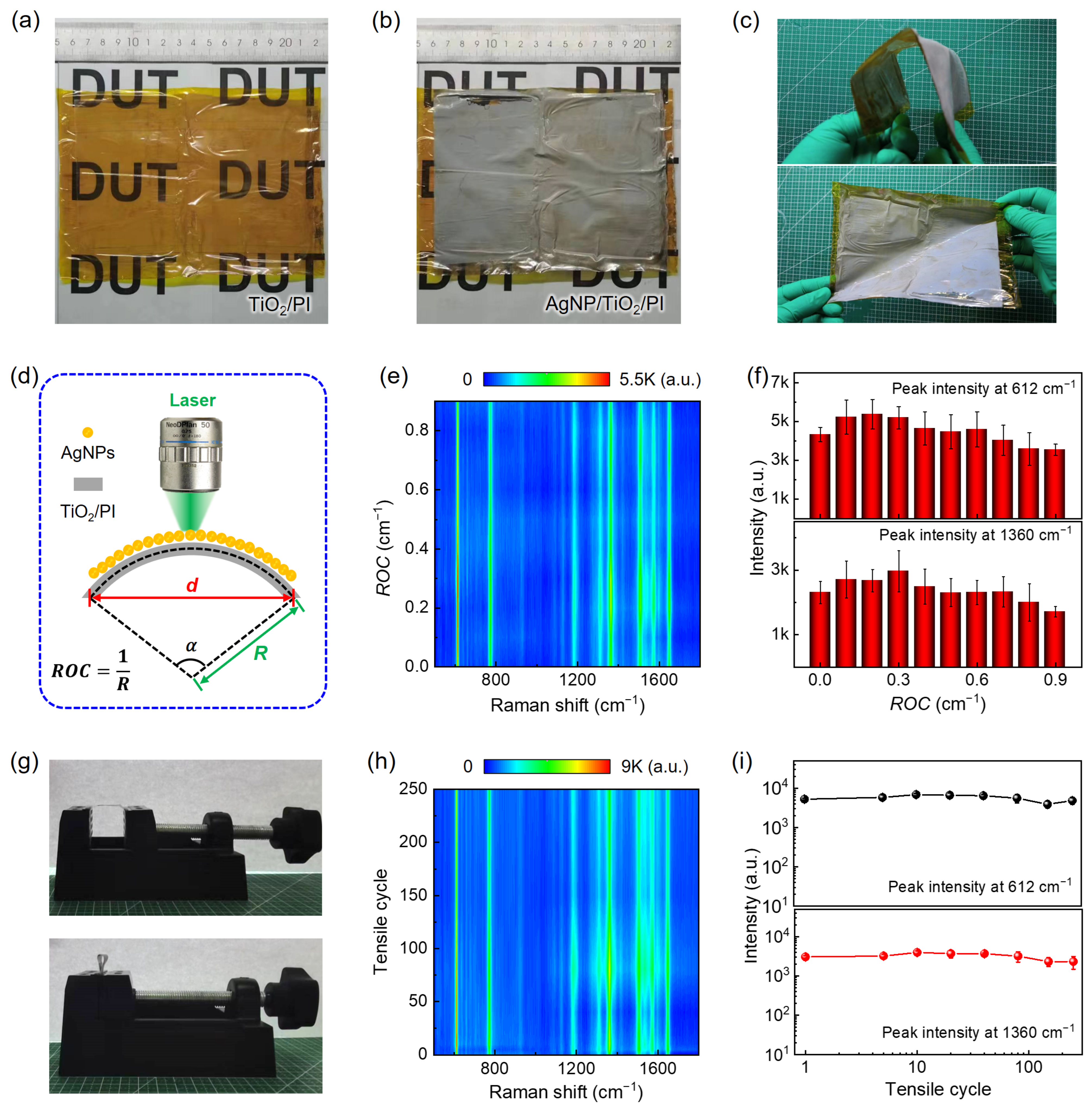 Nanomaterials 14 01597 g004