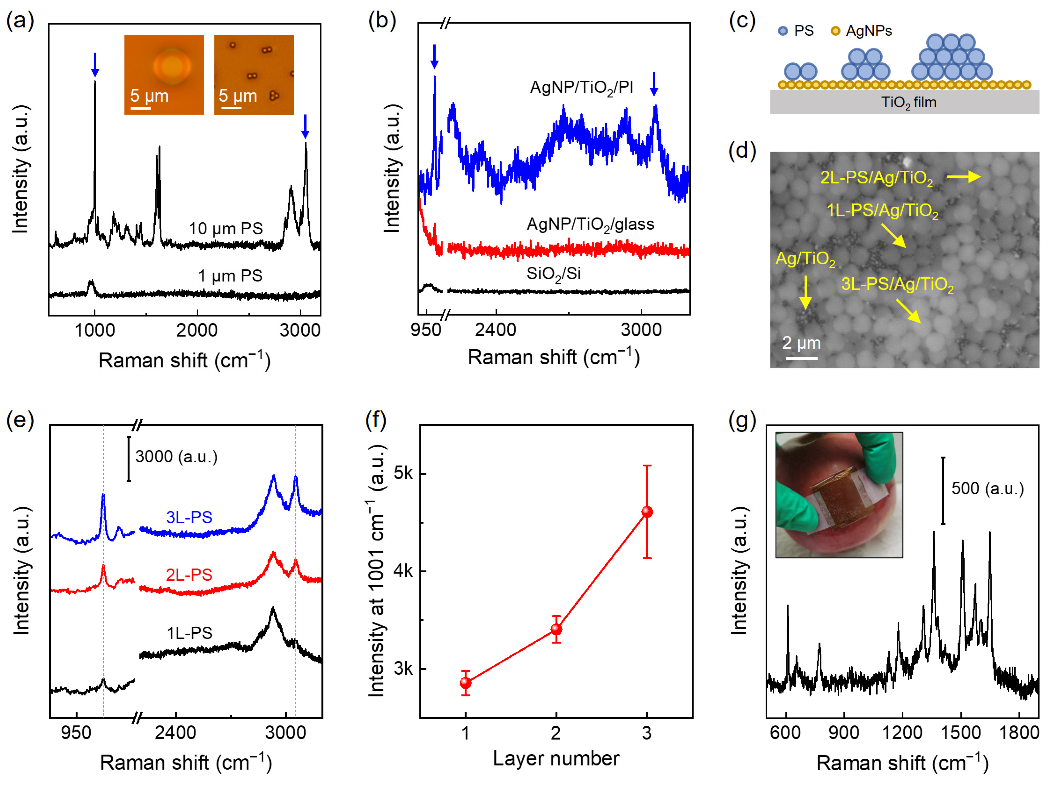 Nanomaterials 14 01597 g005