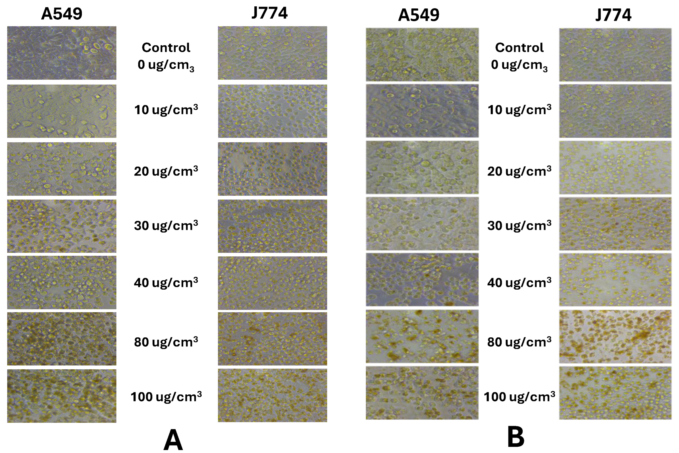 Nanomaterials 14 01601 g001 Nanomaterials 14 01601 g001