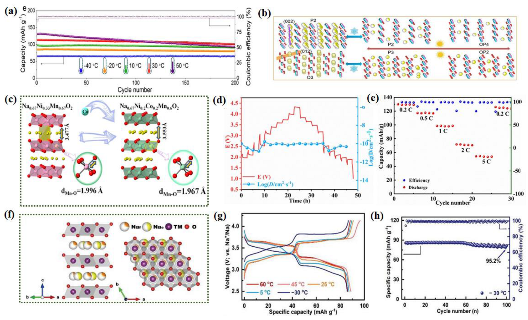 Nanomaterials 14 01604 g009