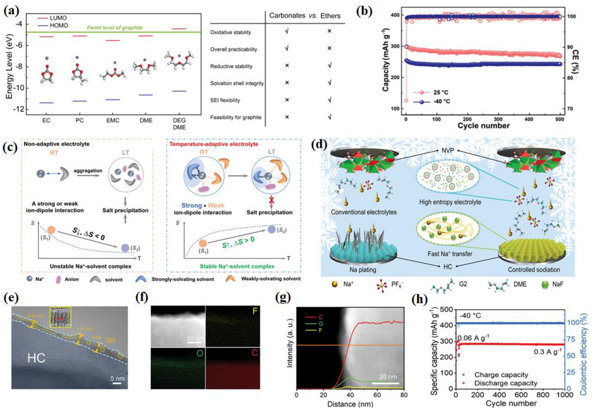 Nanomaterials 14 01604 g012