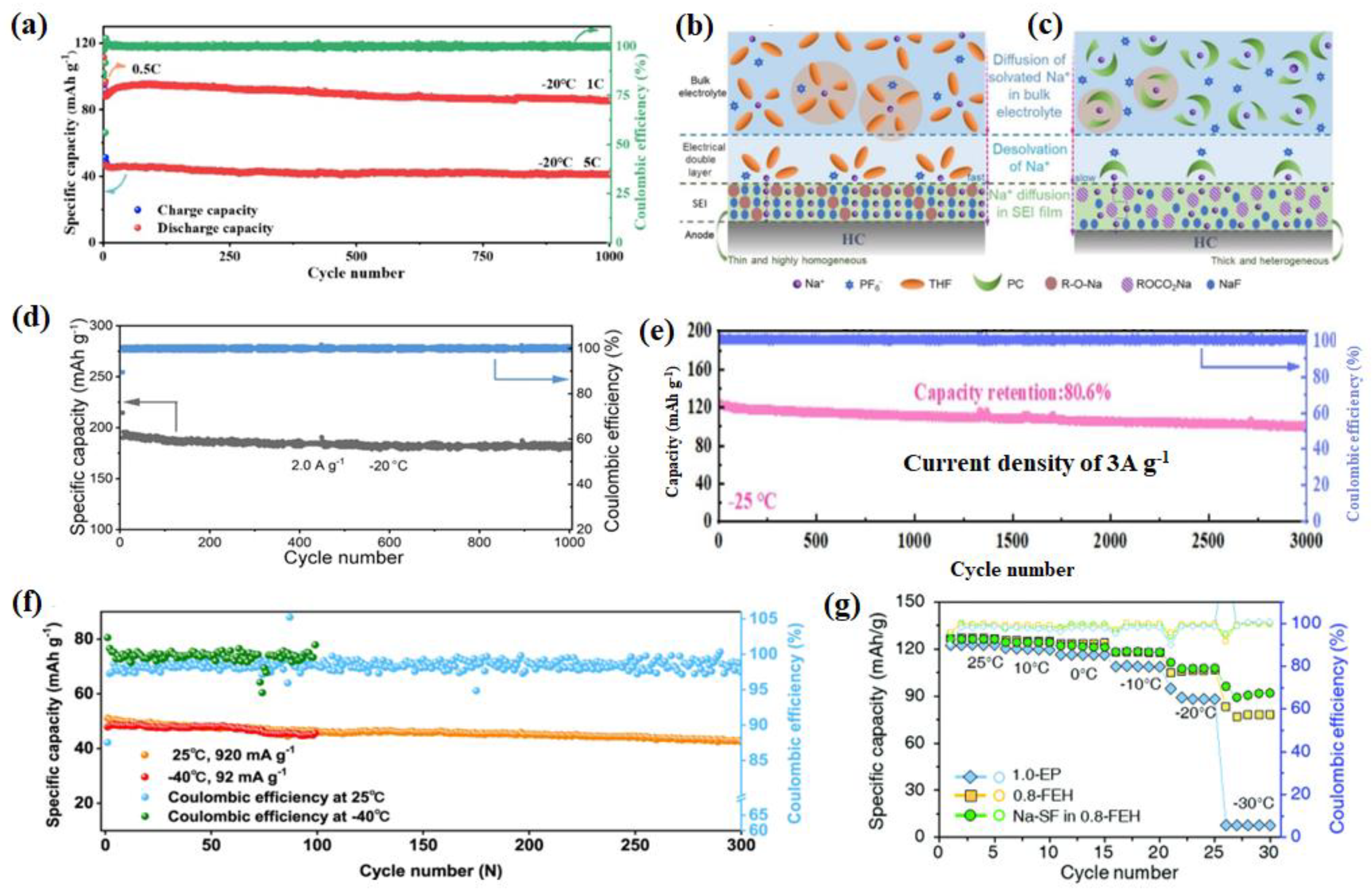 Nanomaterials 14 01604 g014
