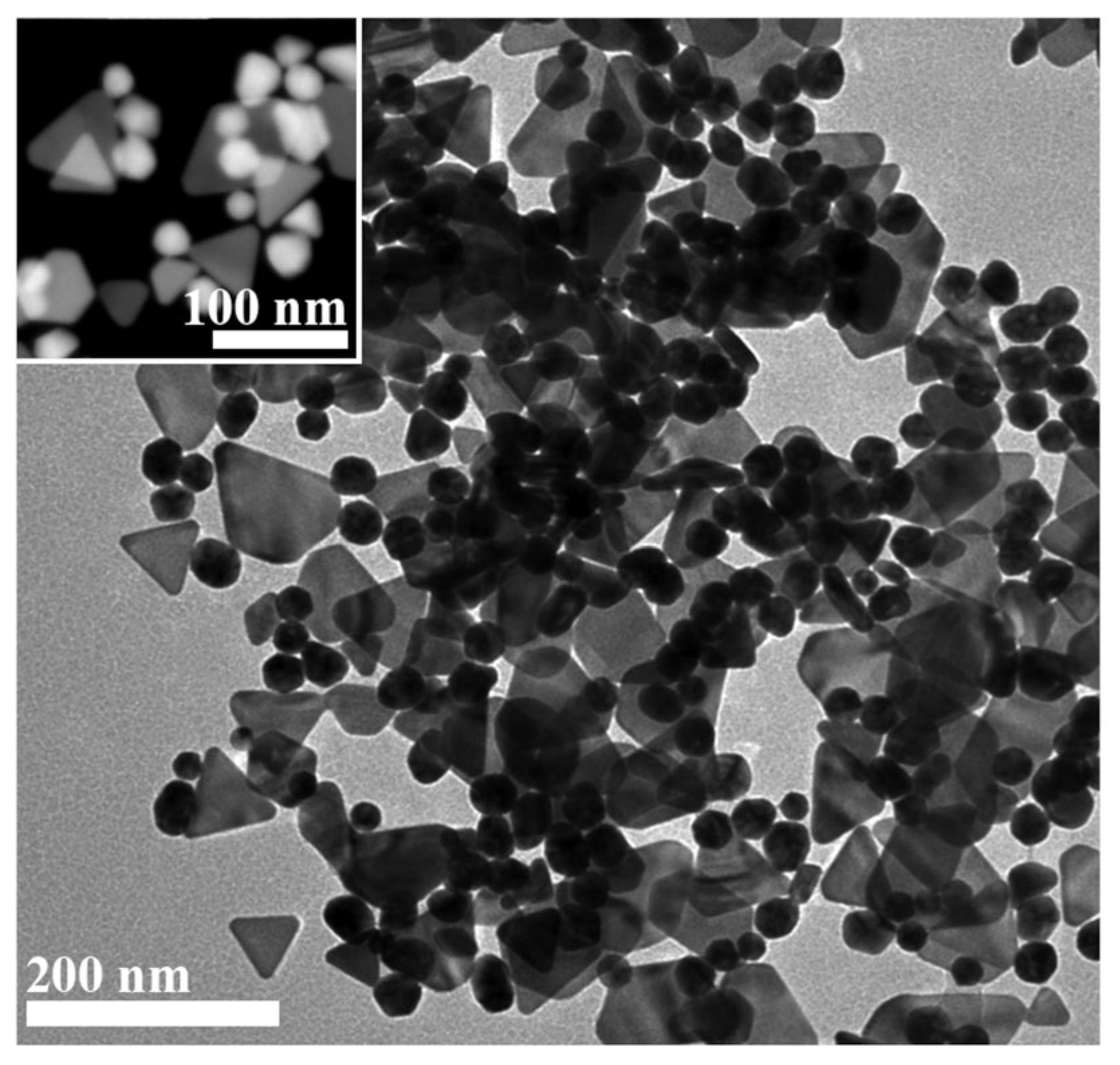 Nanomaterials 14 01611 g003