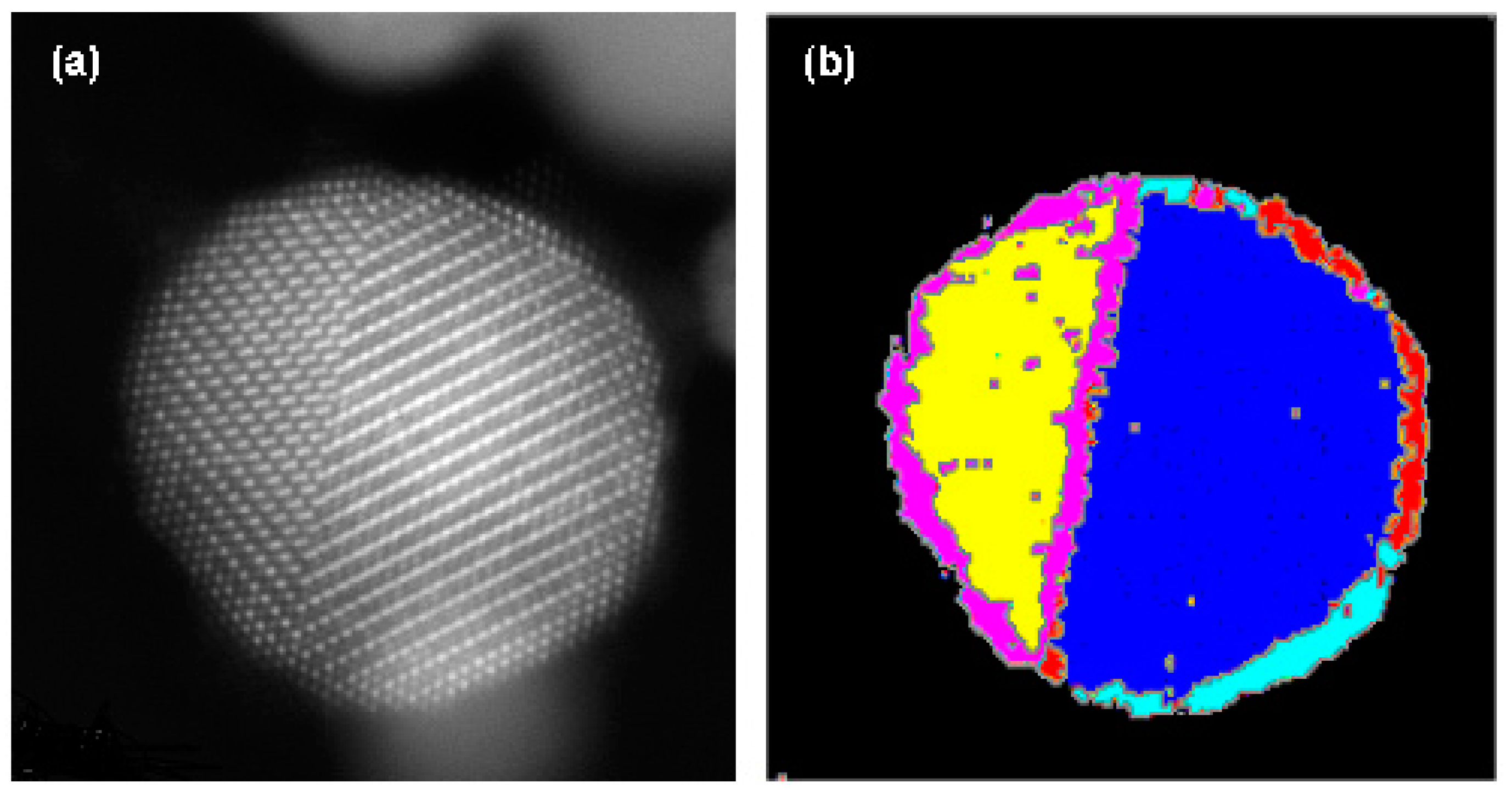 Nanomaterials 14 01614 g004 Nanomaterials 14 01614 g004