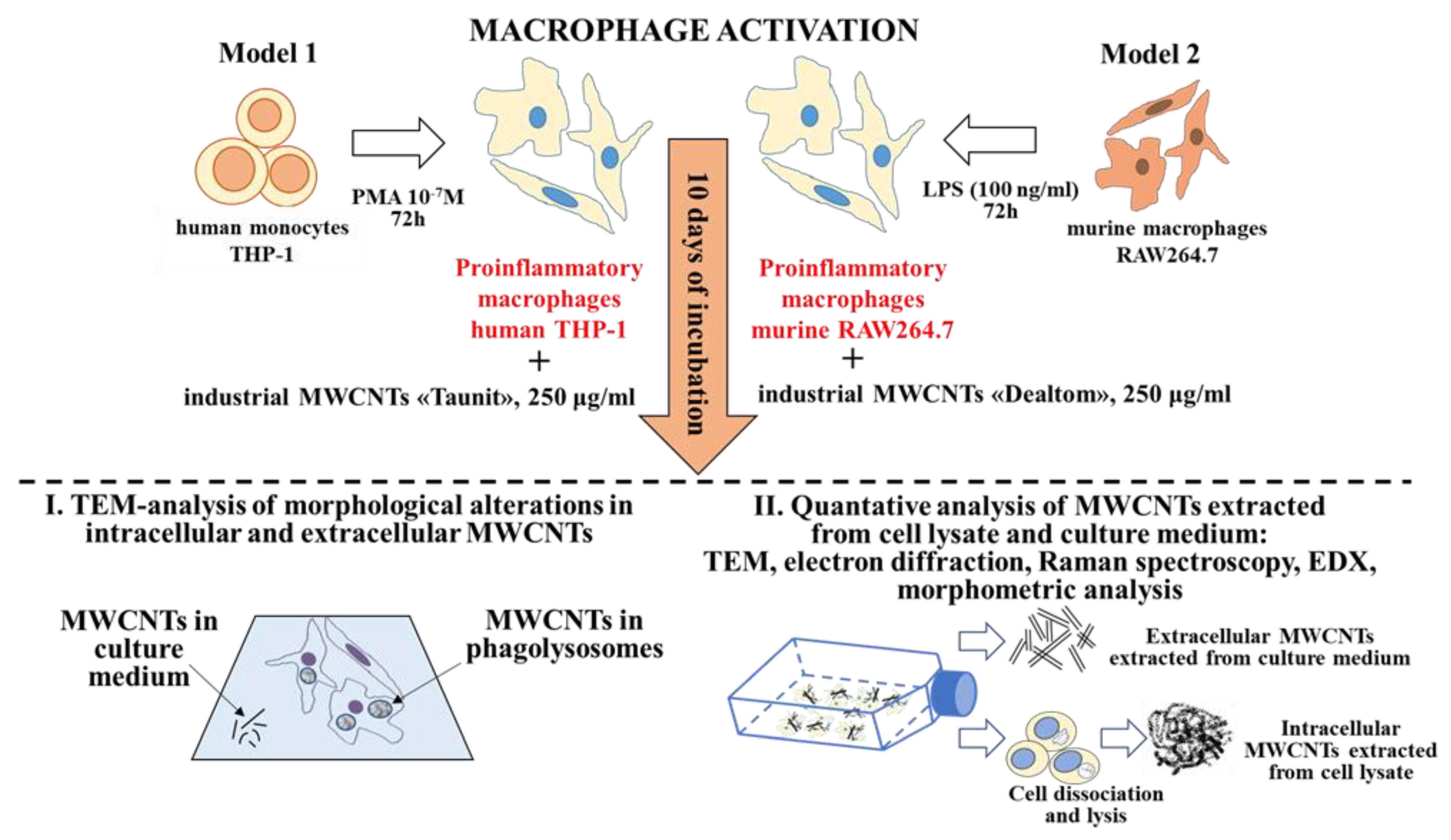 Nanomaterials 14 01616 g001