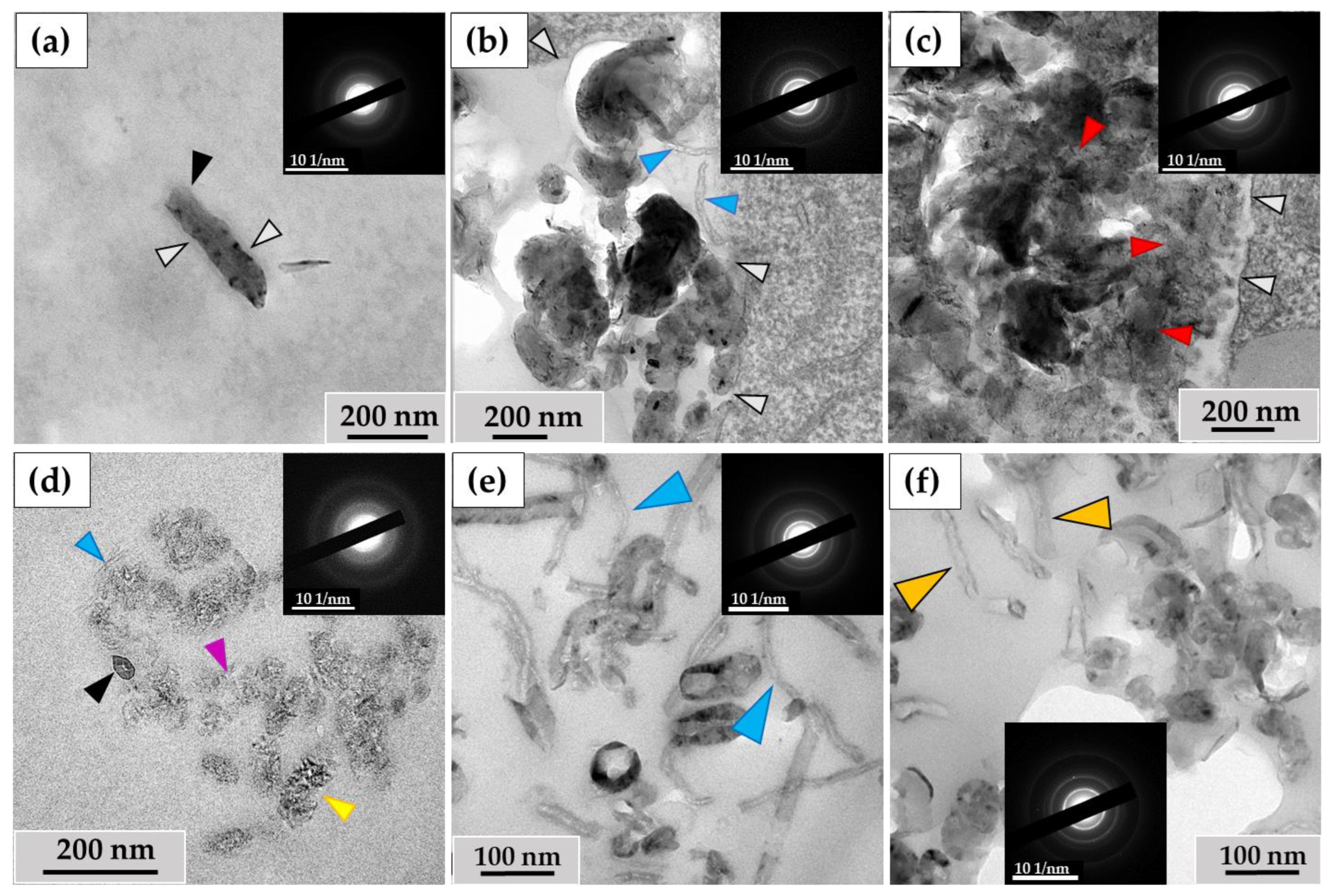 Nanomaterials 14 01616 g005