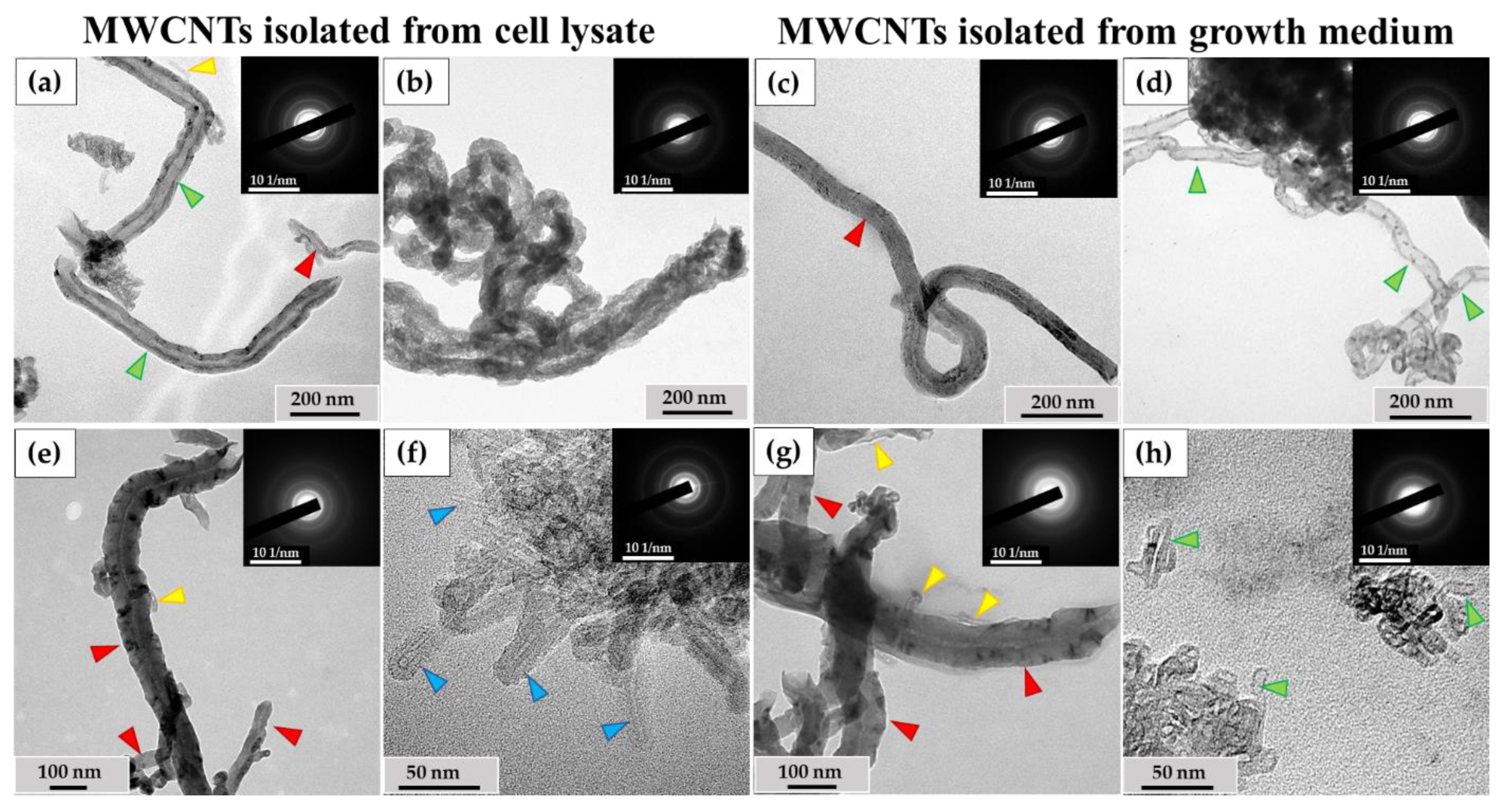 Nanomaterials 14 01616 g007