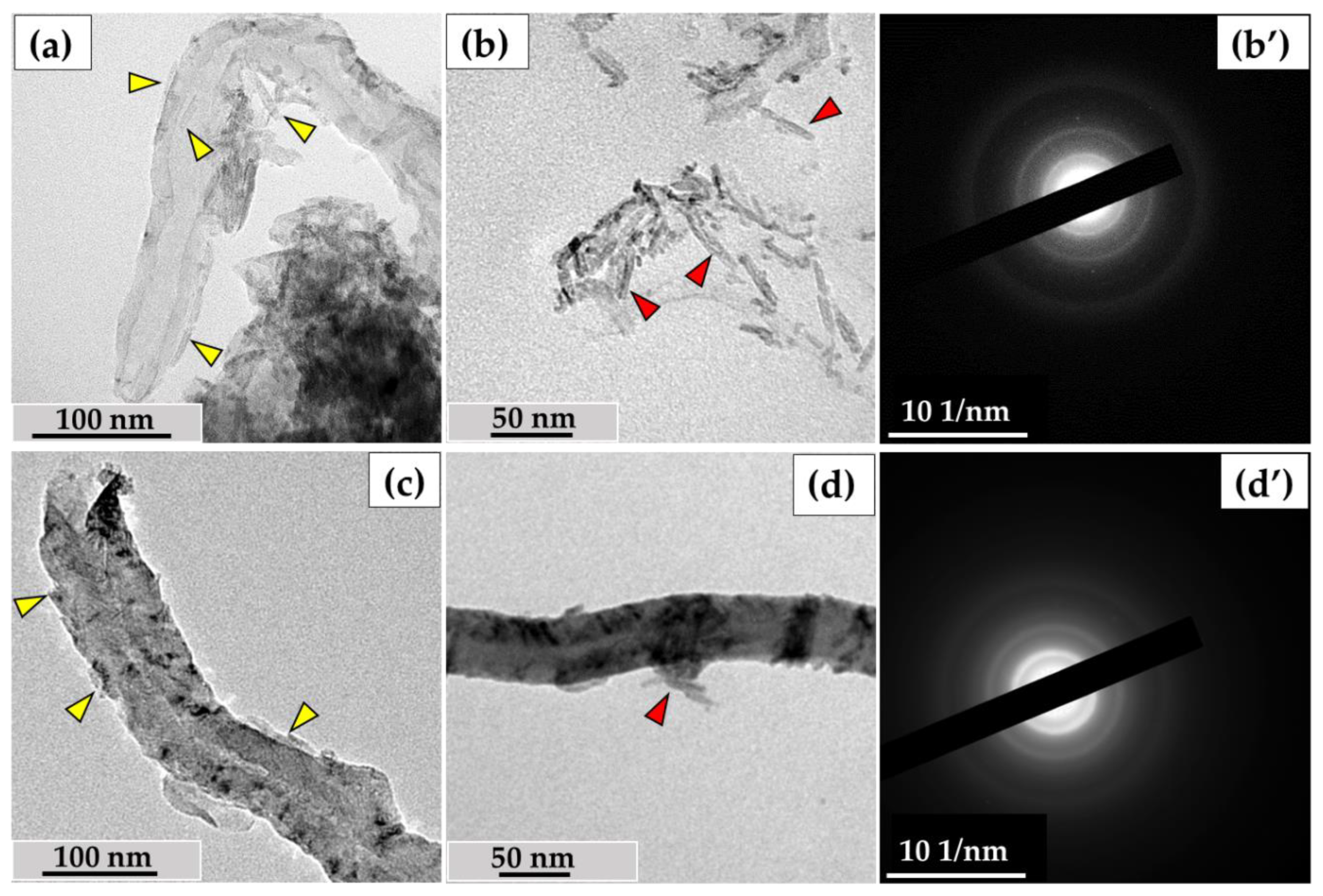 Nanomaterials 14 01616 g010