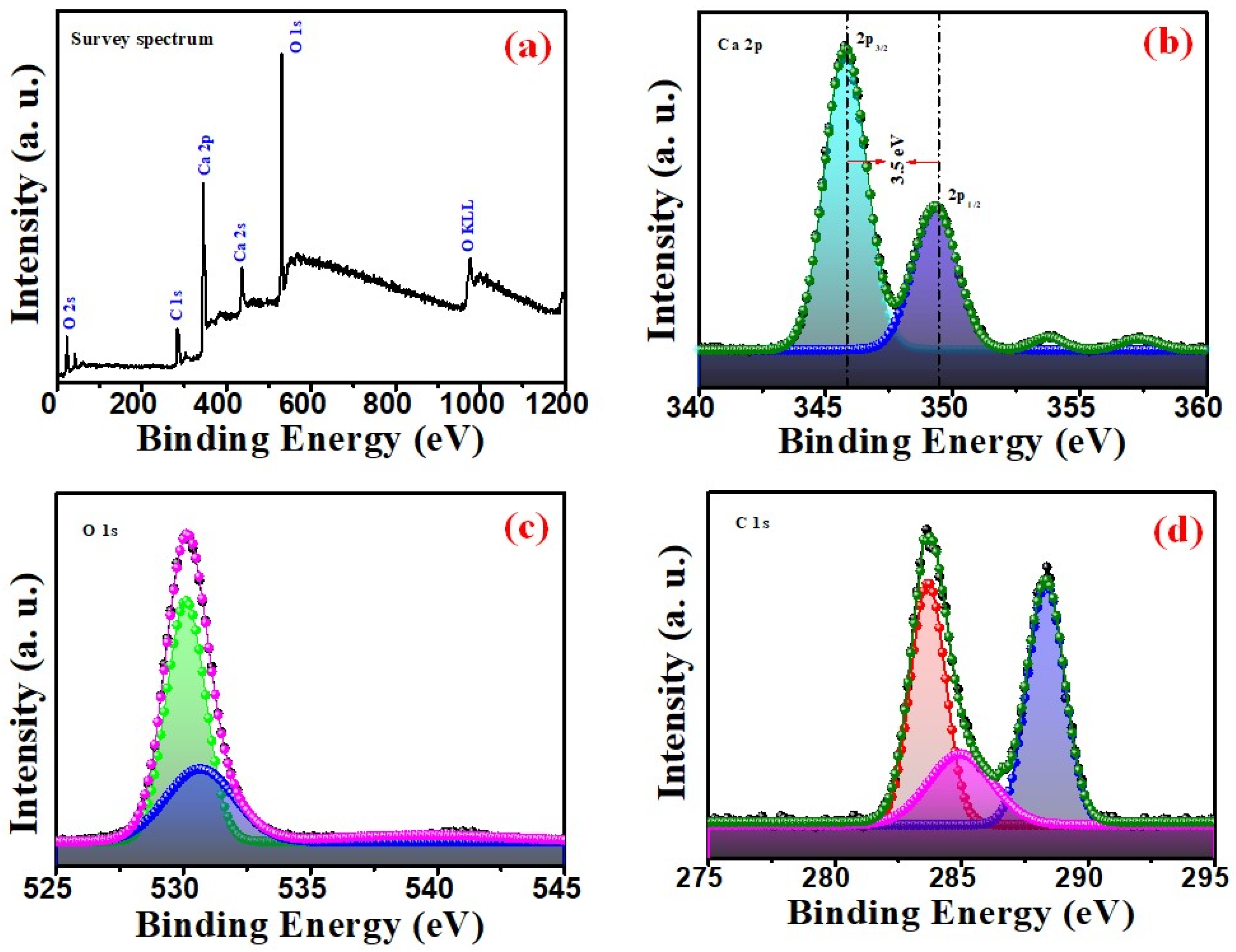 Nanomaterials 14 01620 g007