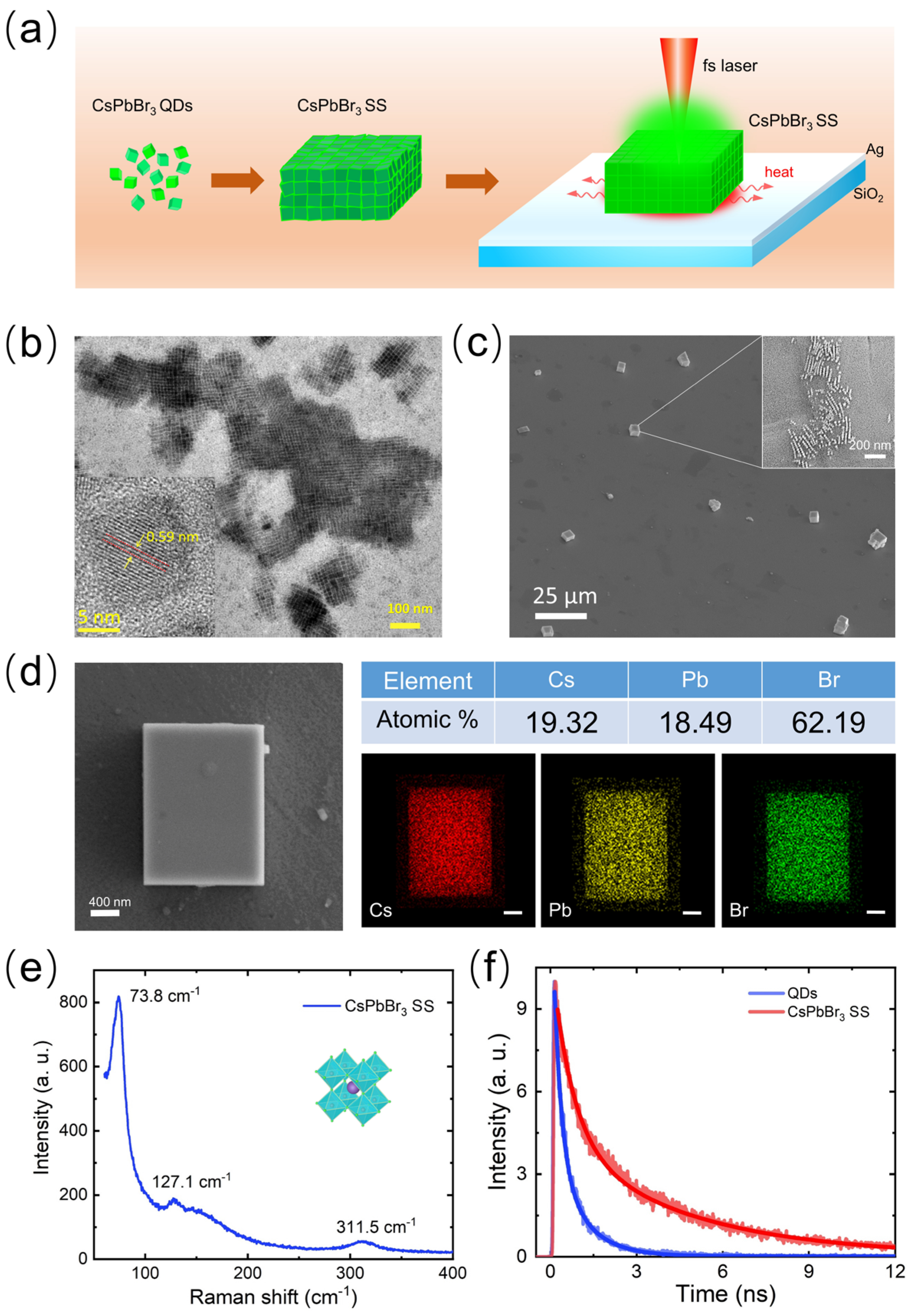 Nanomaterials 14 01622 g001