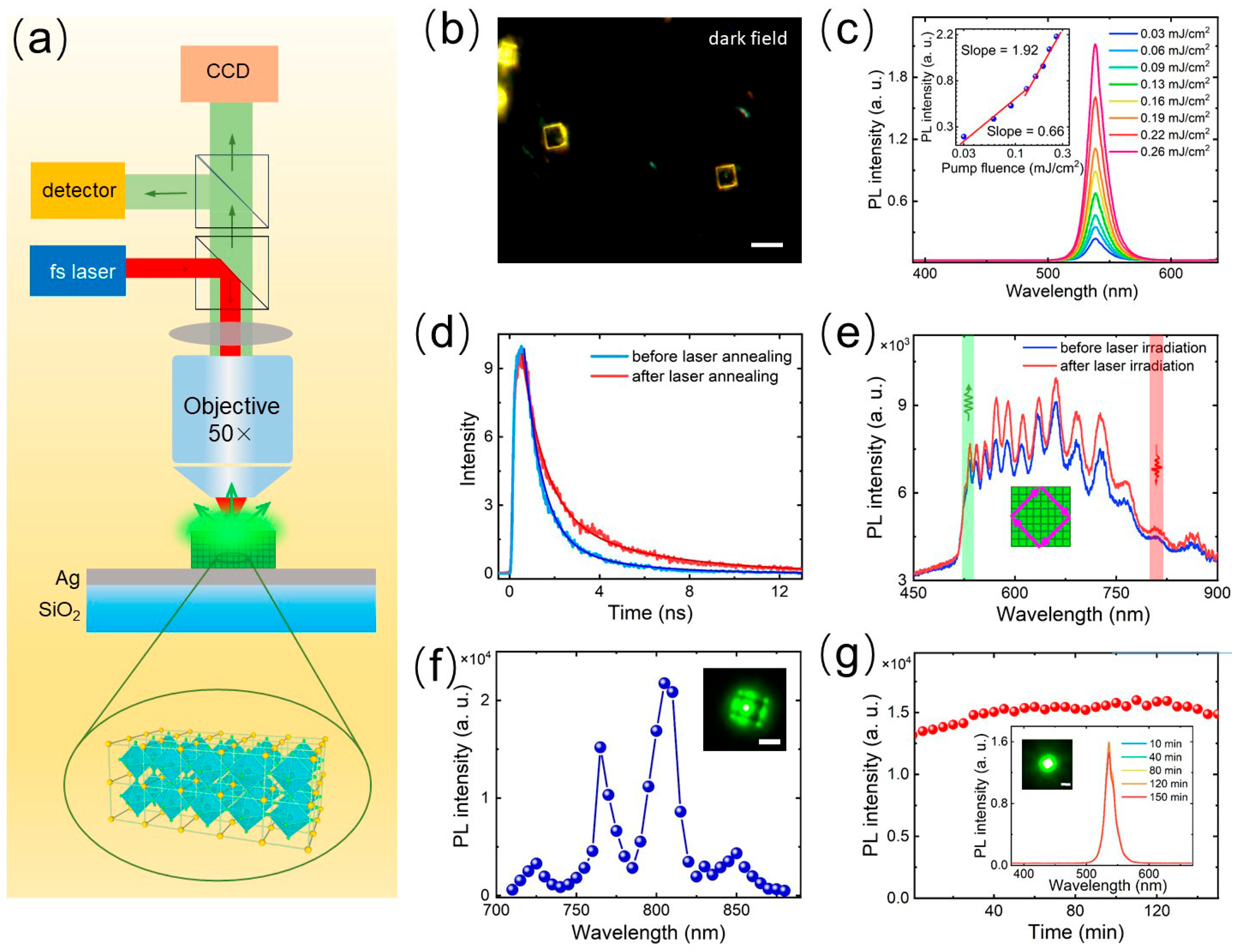 Nanomaterials 14 01622 g002