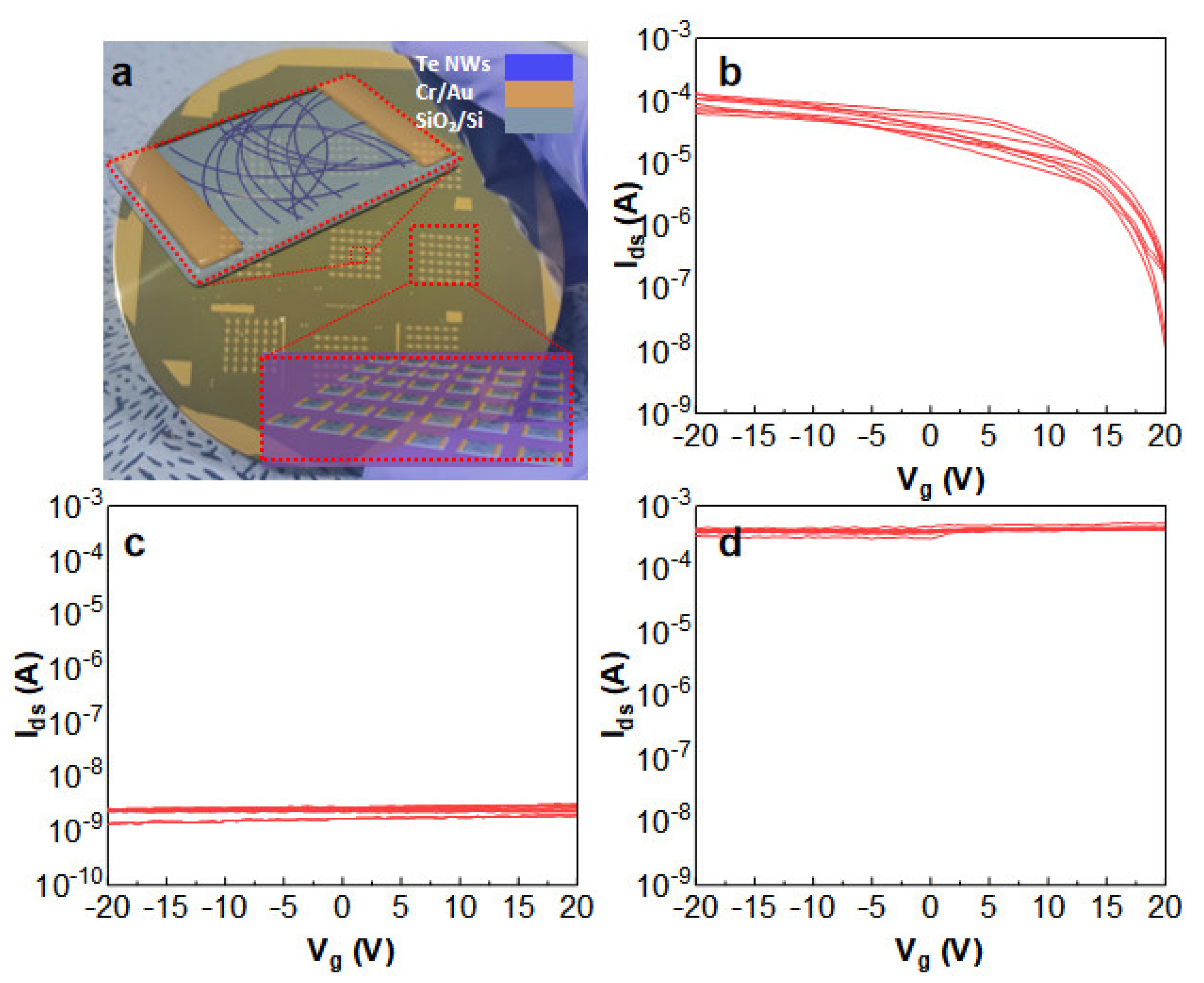 Nanomaterials 14 01625 g008