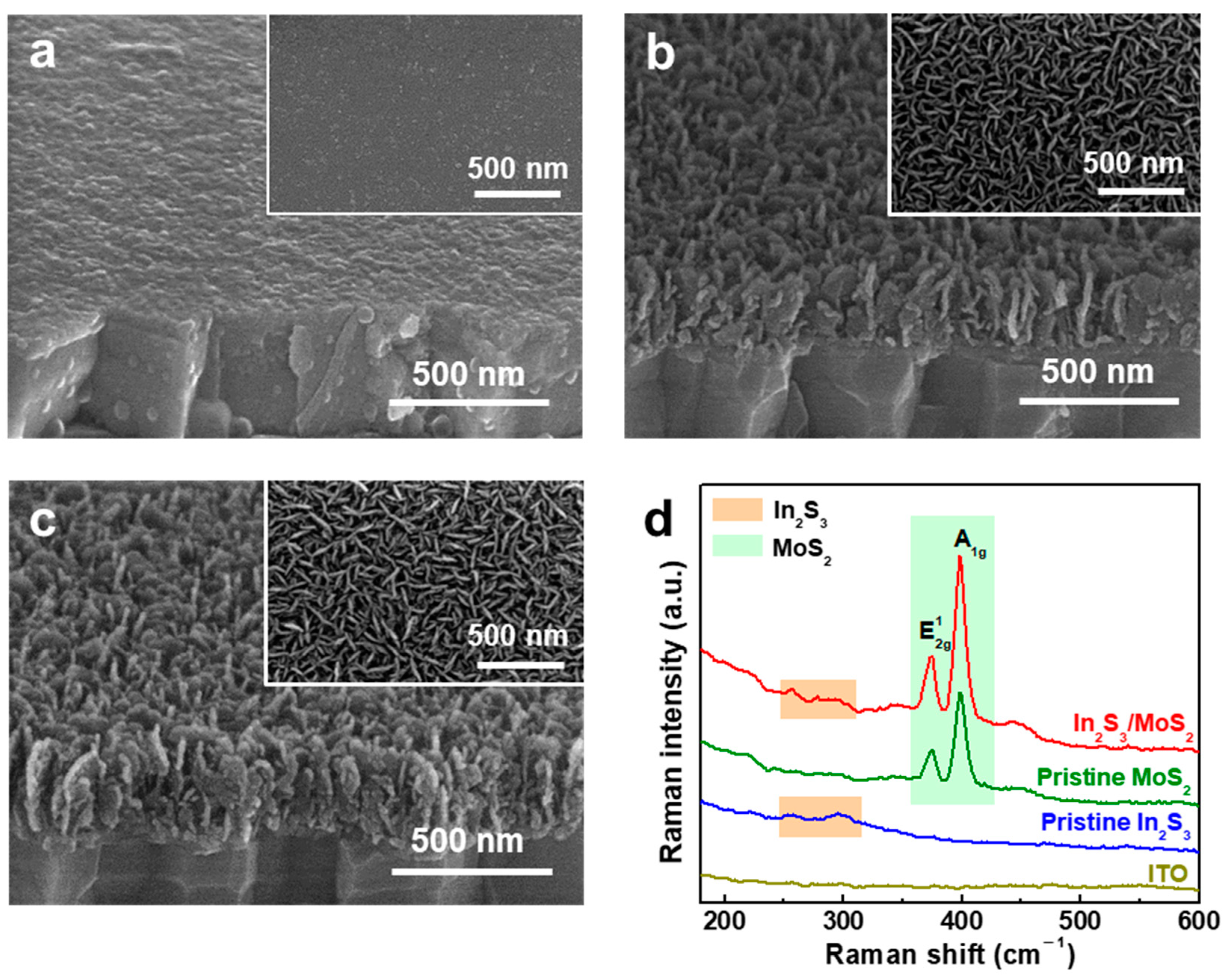 Nanomaterials 14 01628 g001