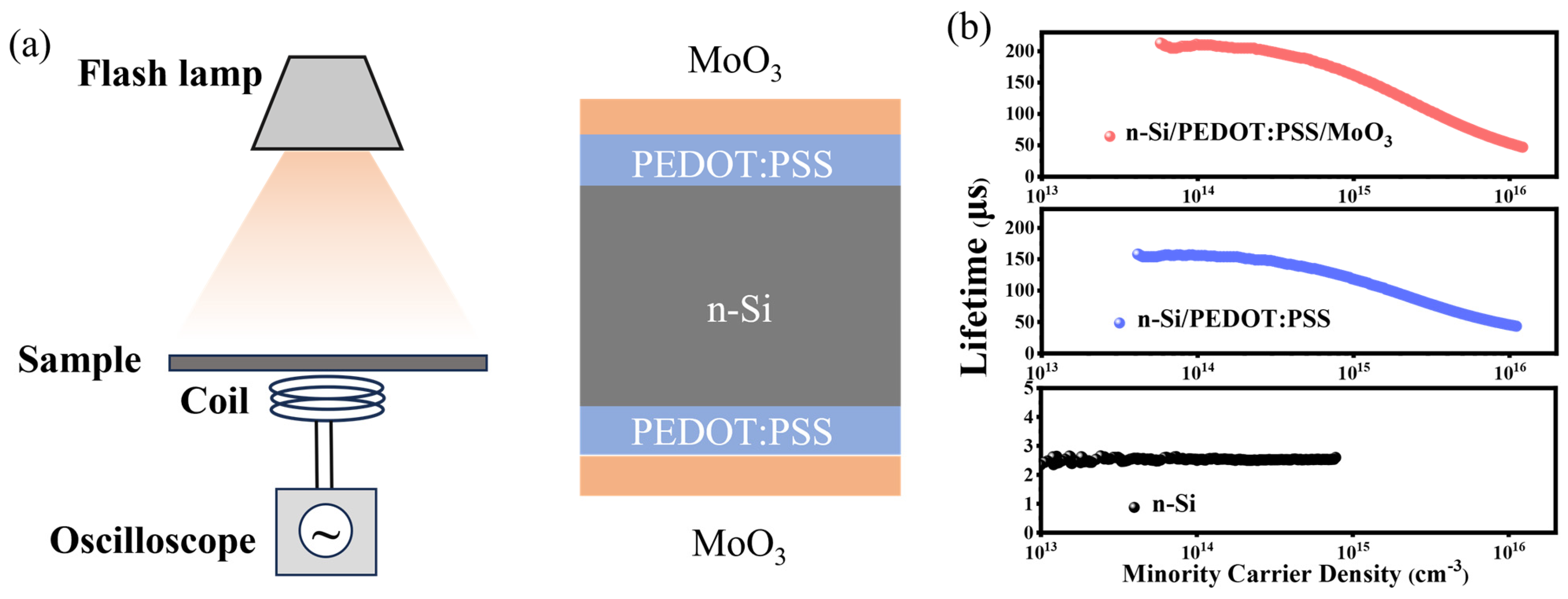 Nanomaterials 14 01630 g005