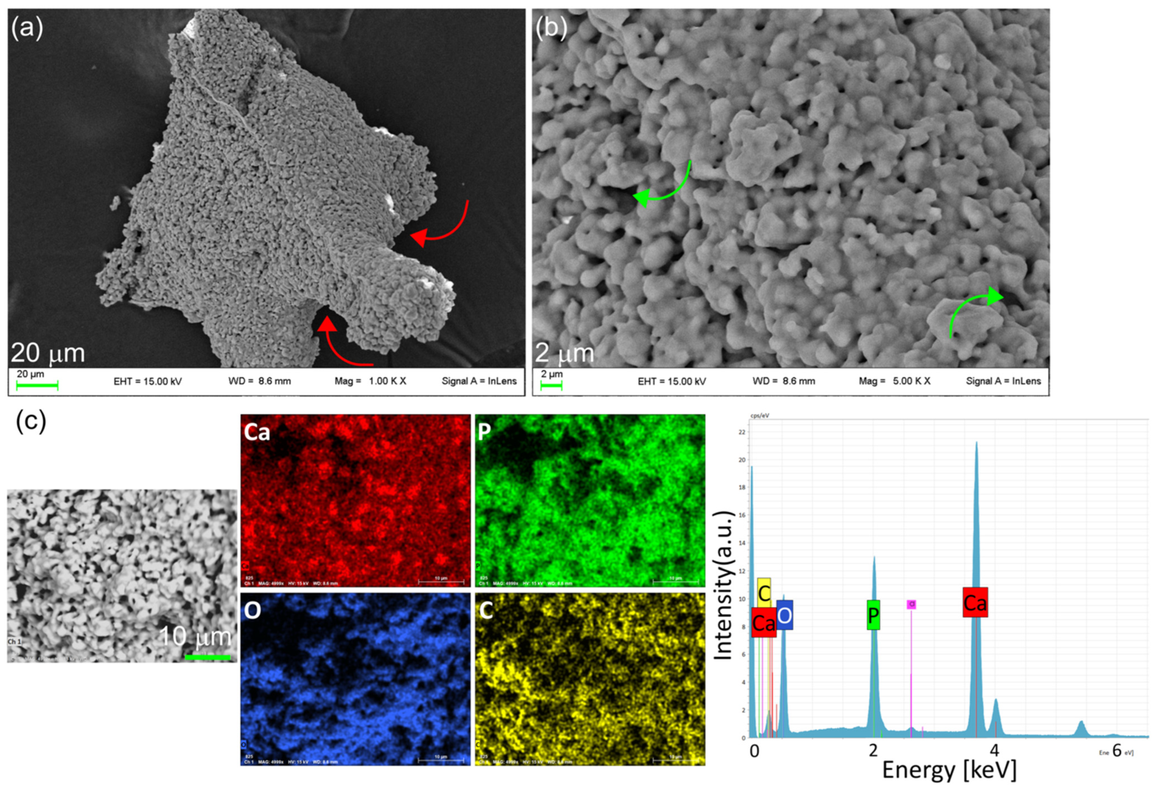 Nanomaterials 14 01637 g004