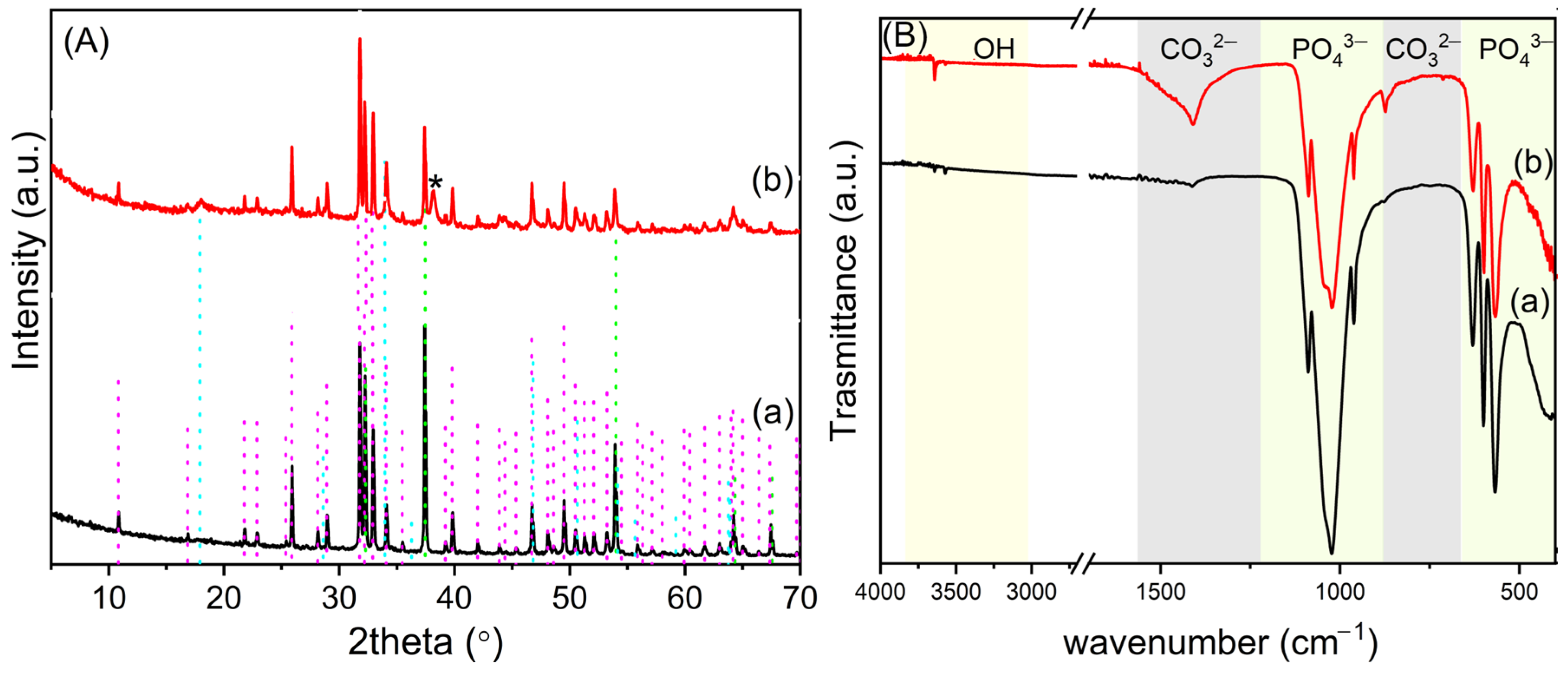 Nanomaterials 14 01637 g005