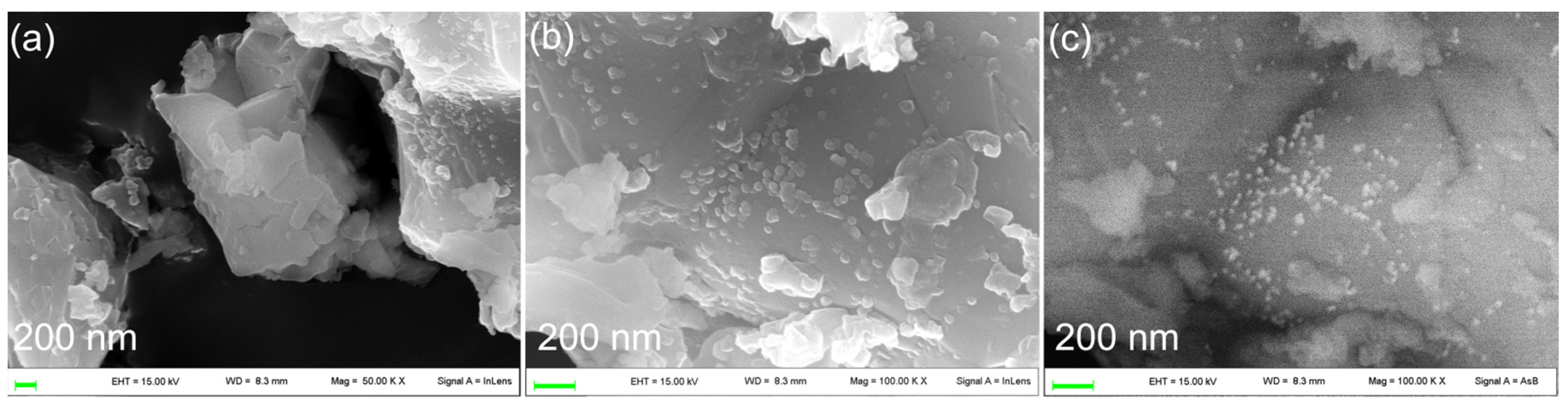 Nanomaterials 14 01637 g006