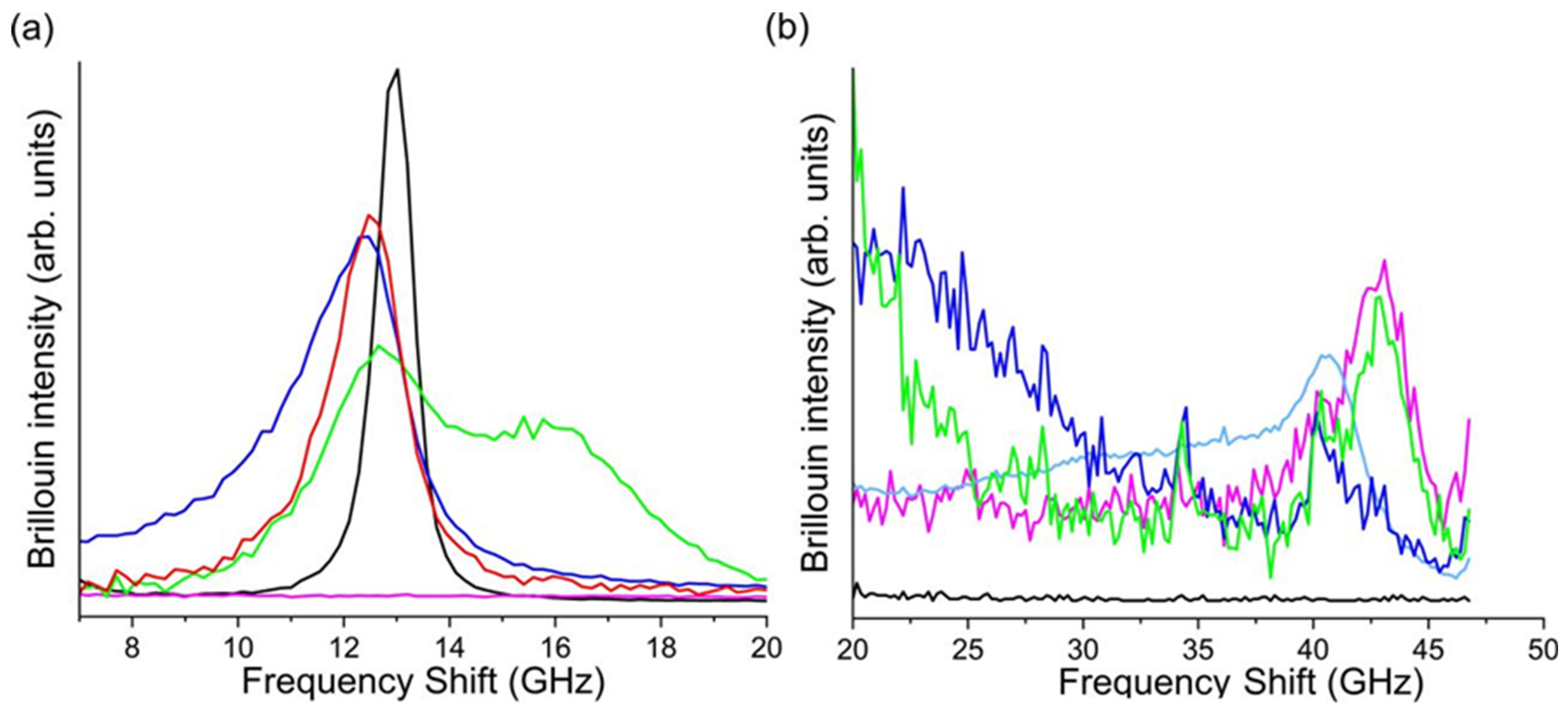 Nanomaterials 14 01637 g009
