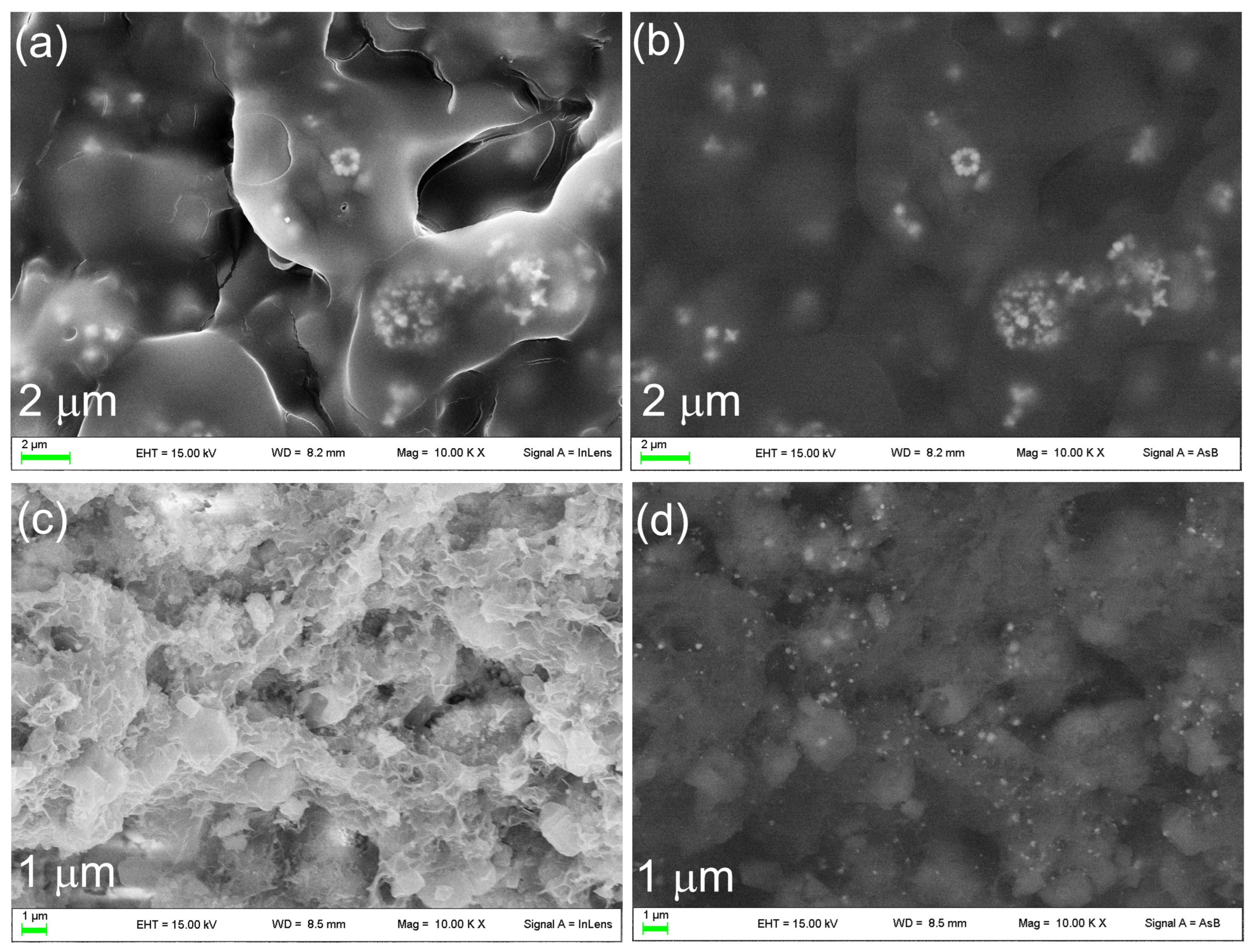 Nanomaterials 14 01637 g010