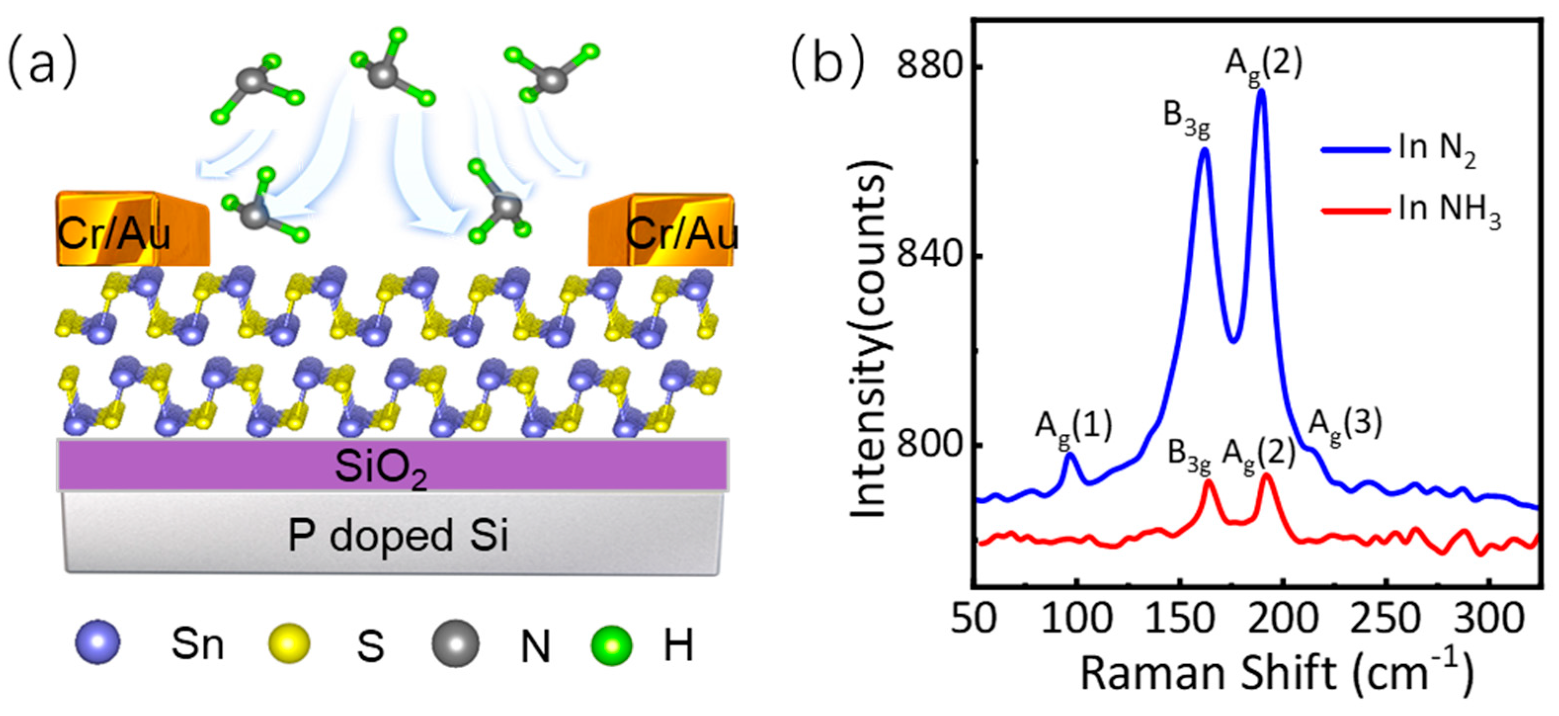 Nanomaterials 14 01638 g001