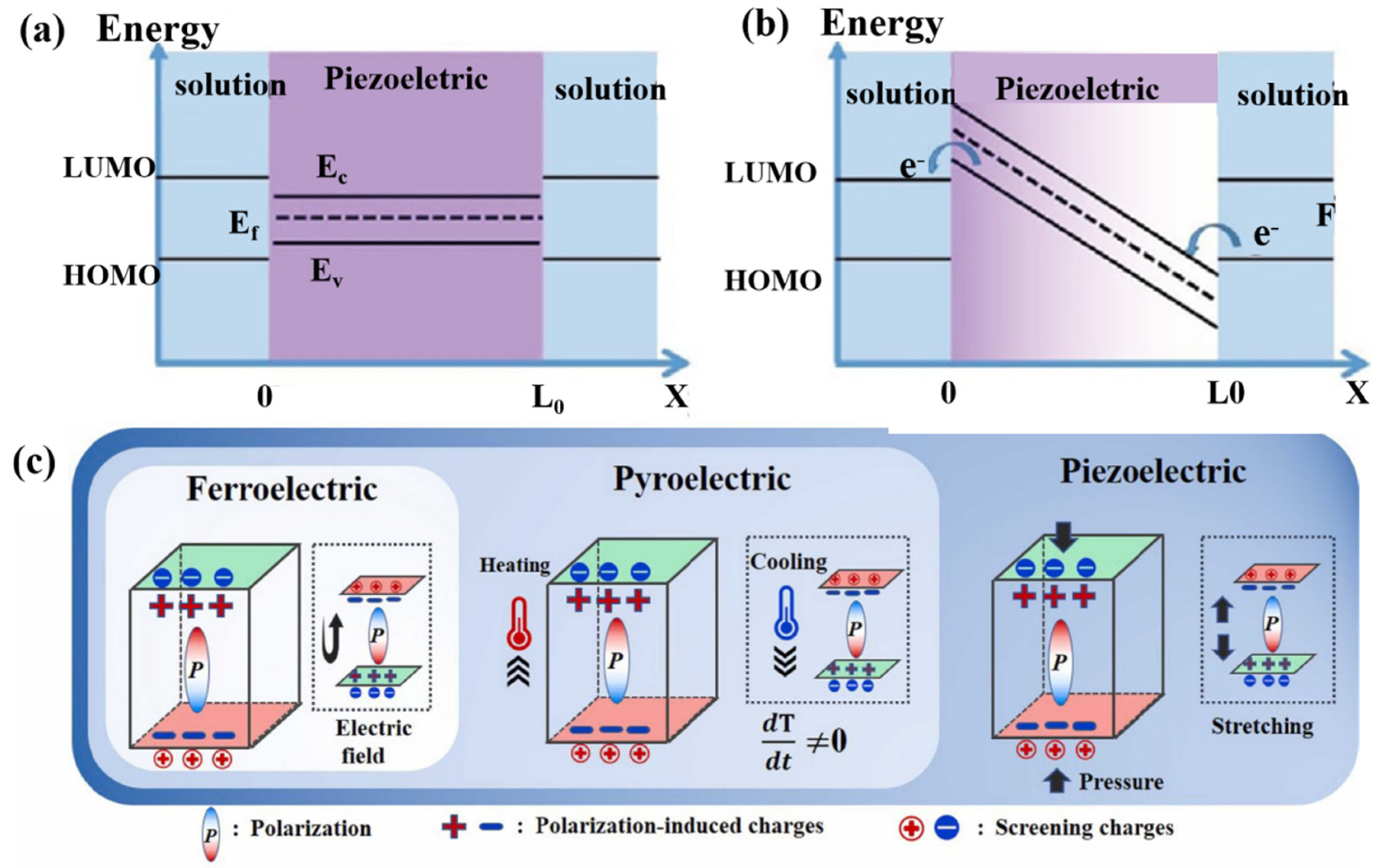 Nanomaterials 14 01641 g002
