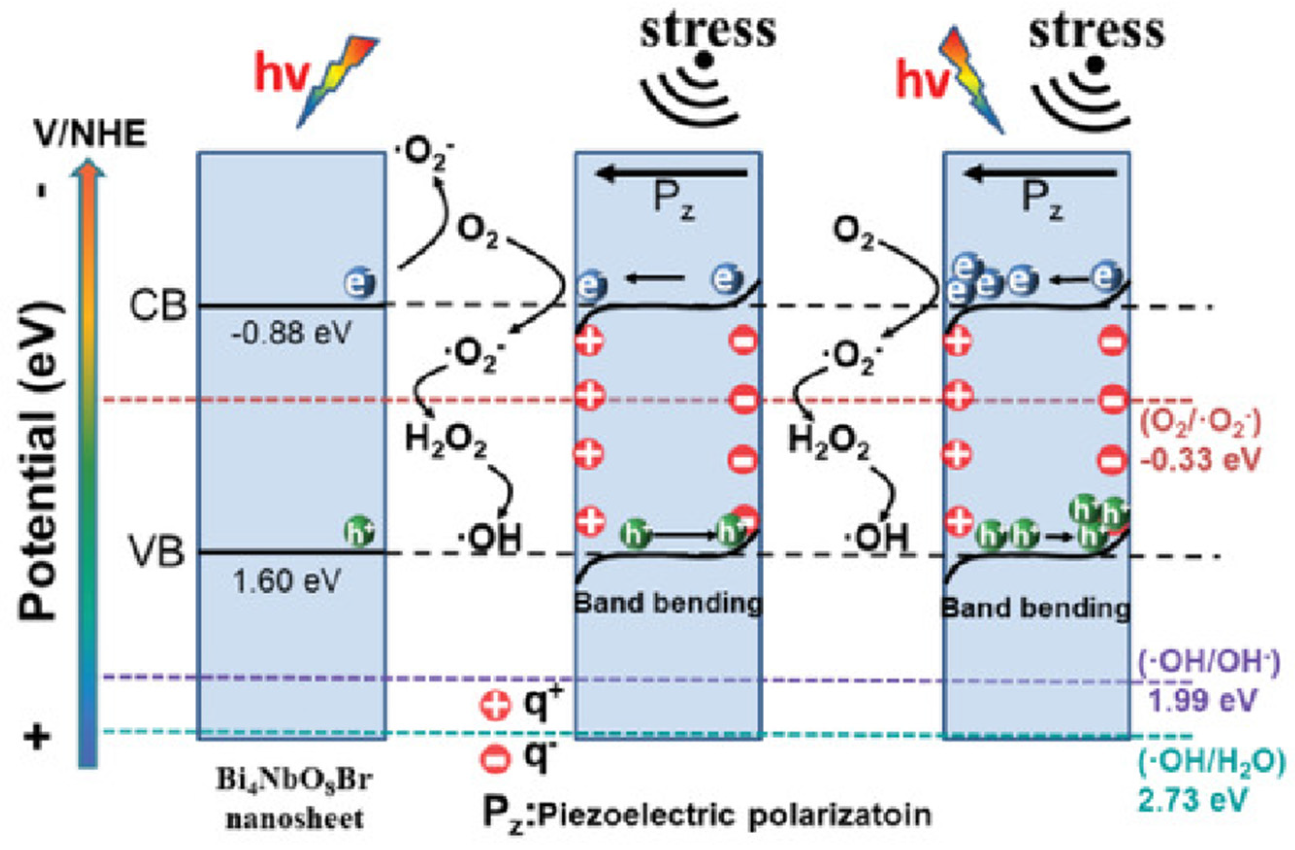 Nanomaterials 14 01641 g003