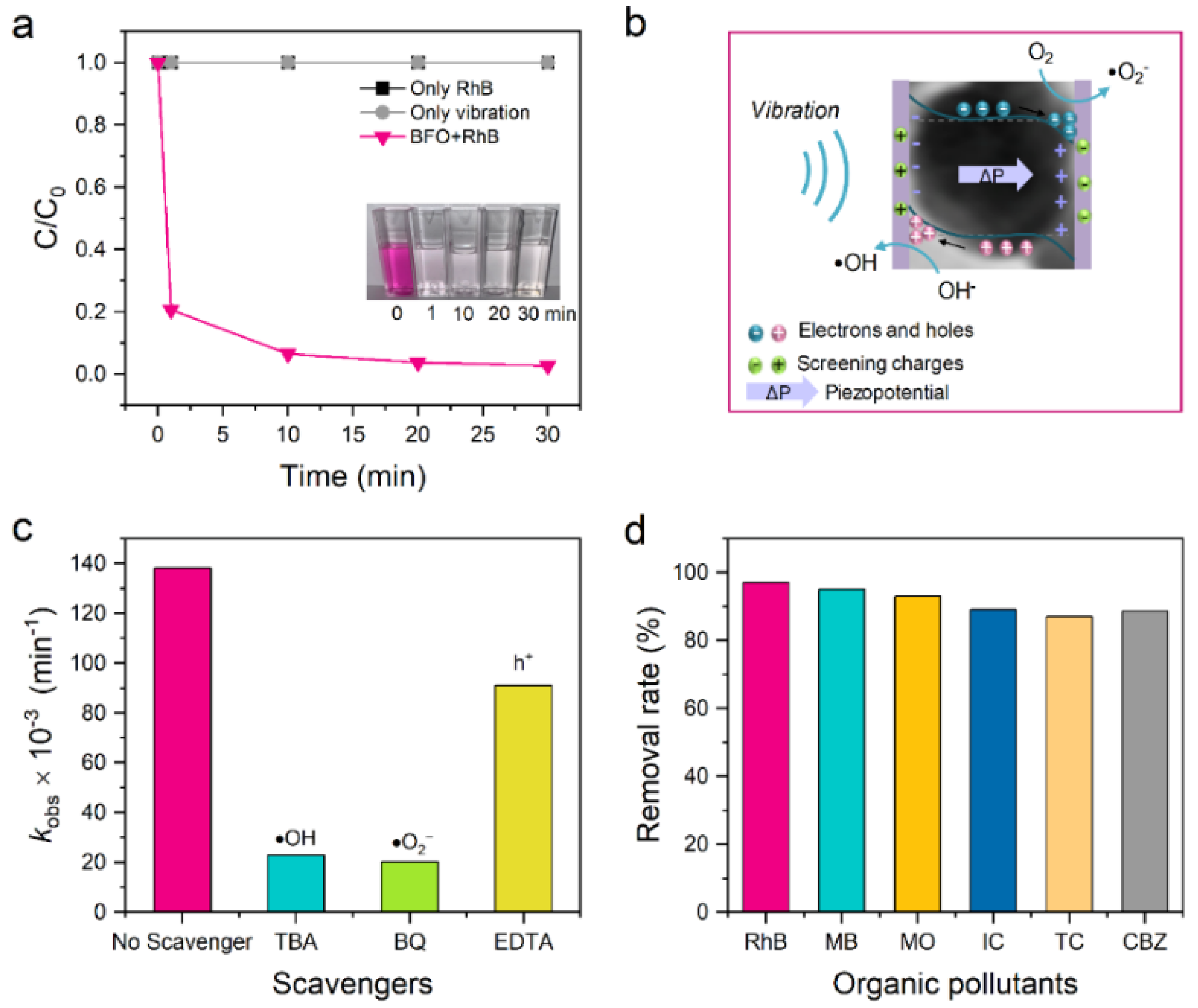 Nanomaterials 14 01641 g009