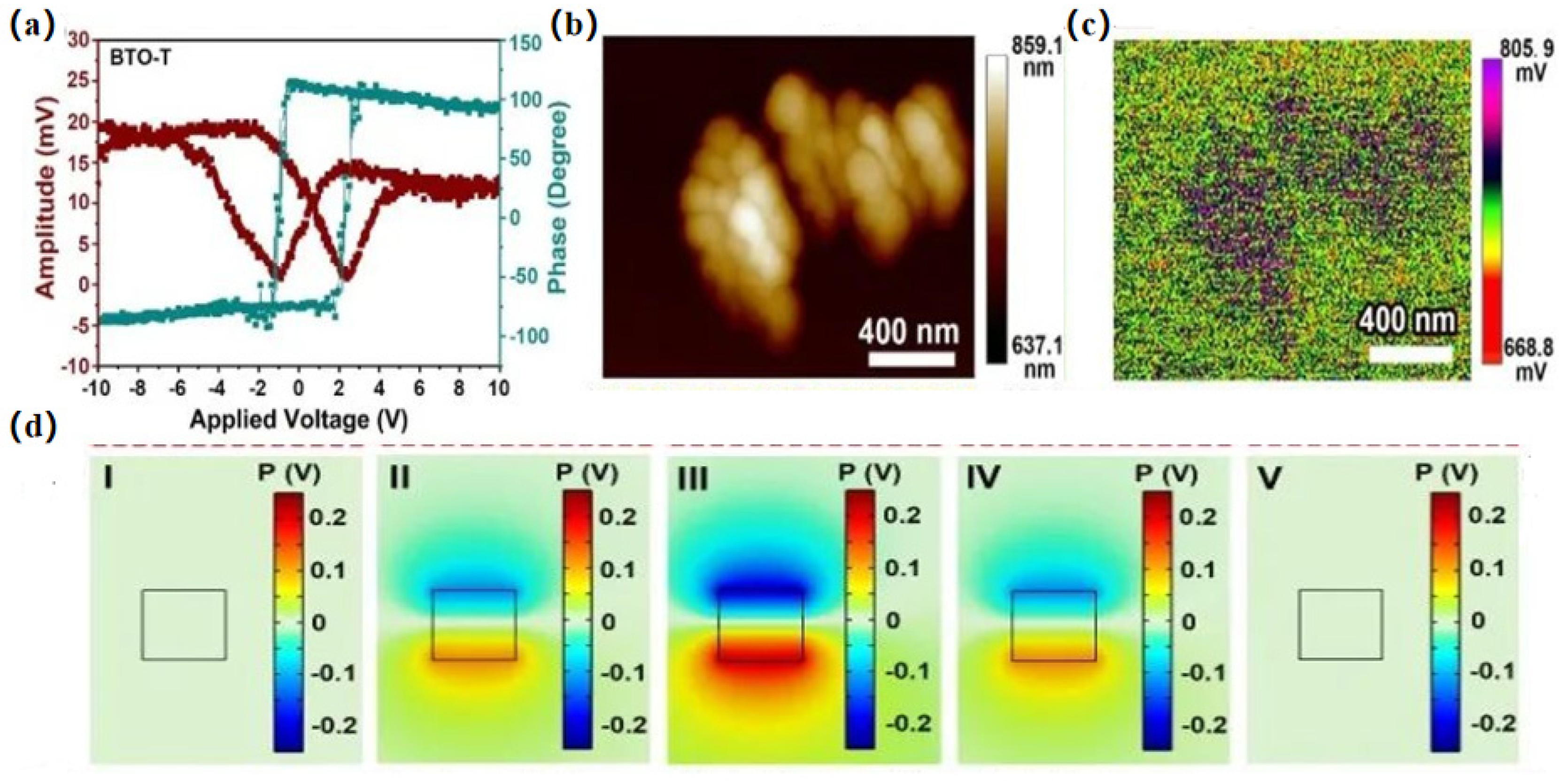 Nanomaterials 14 01641 g010