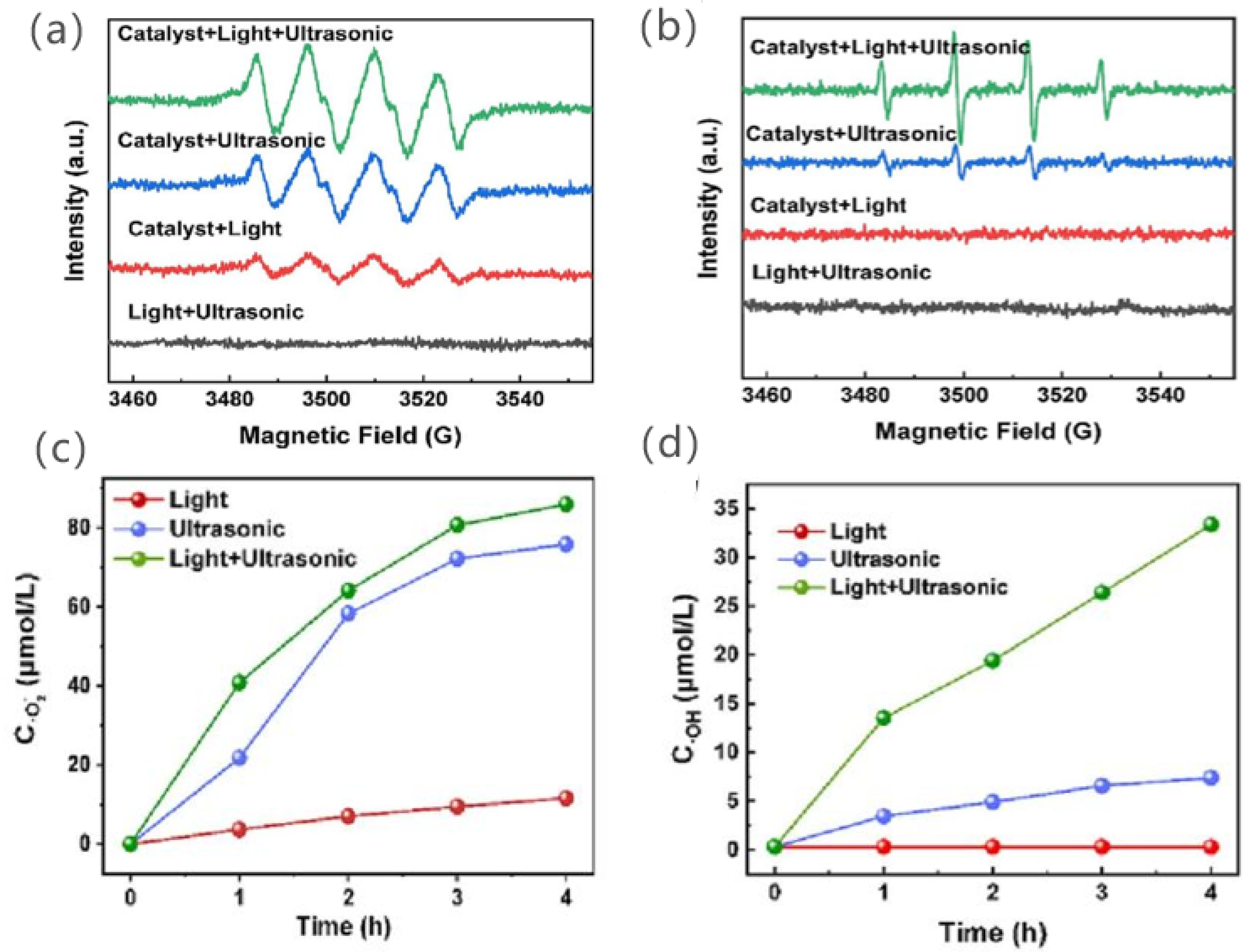 Nanomaterials 14 01641 g011
