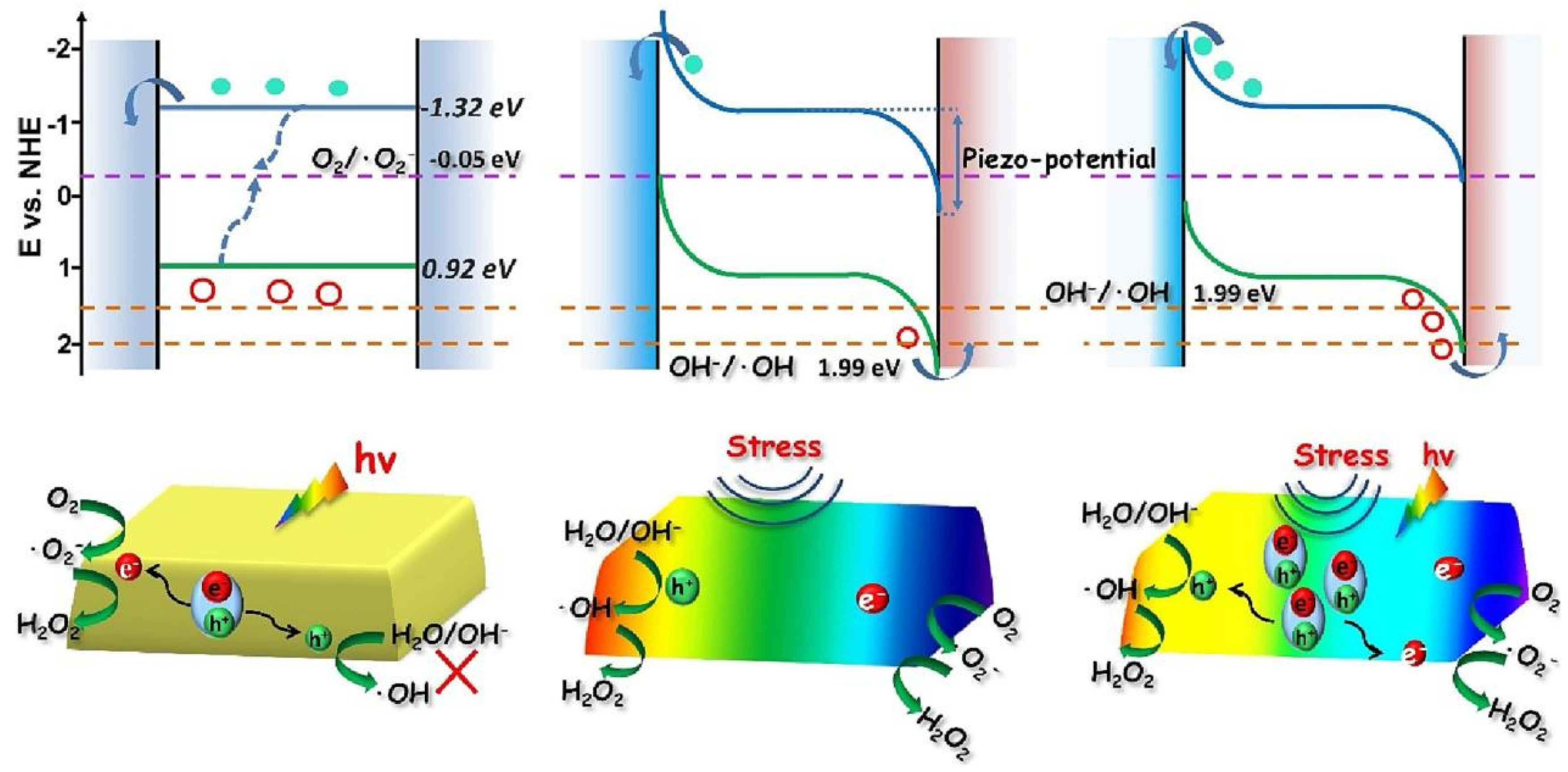 Nanomaterials 14 01641 g012