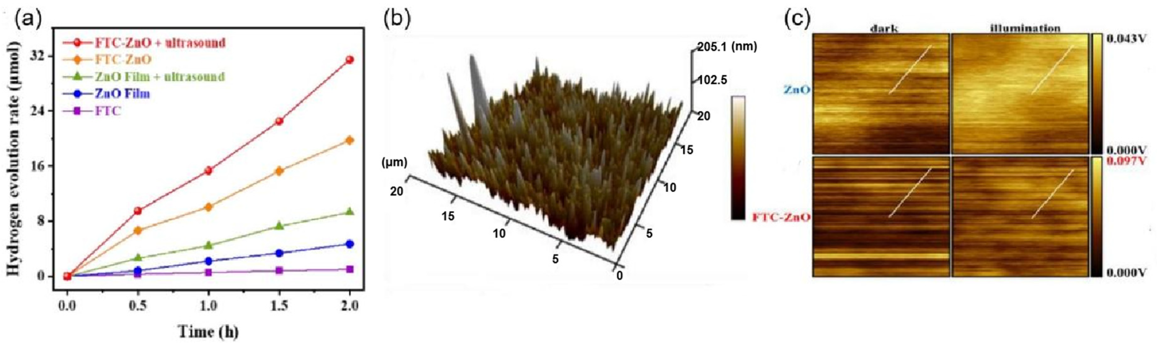 Nanomaterials 14 01641 g014