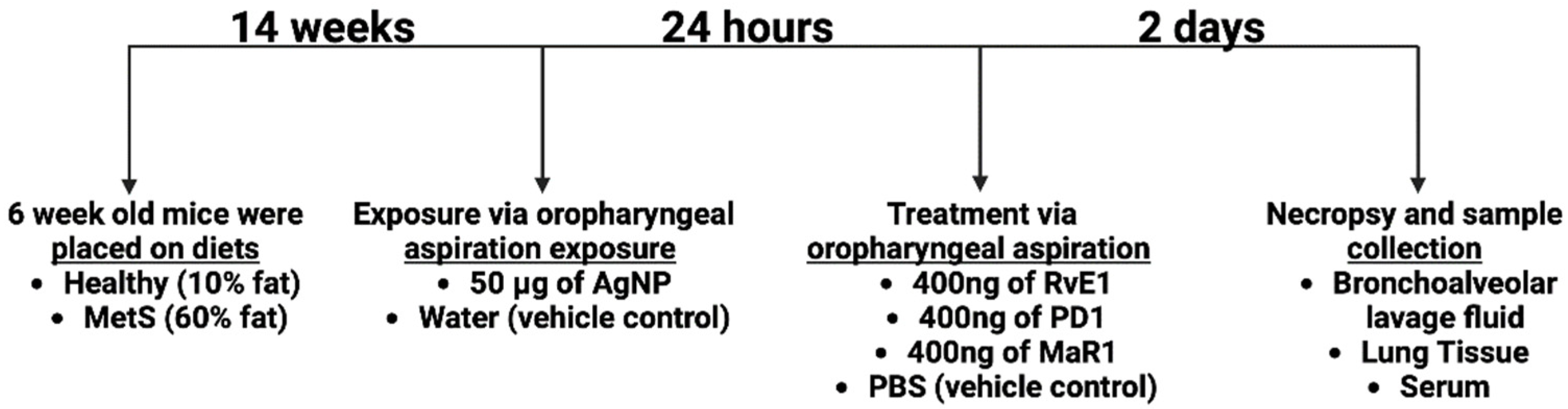 Nanomaterials 14 01642 g001