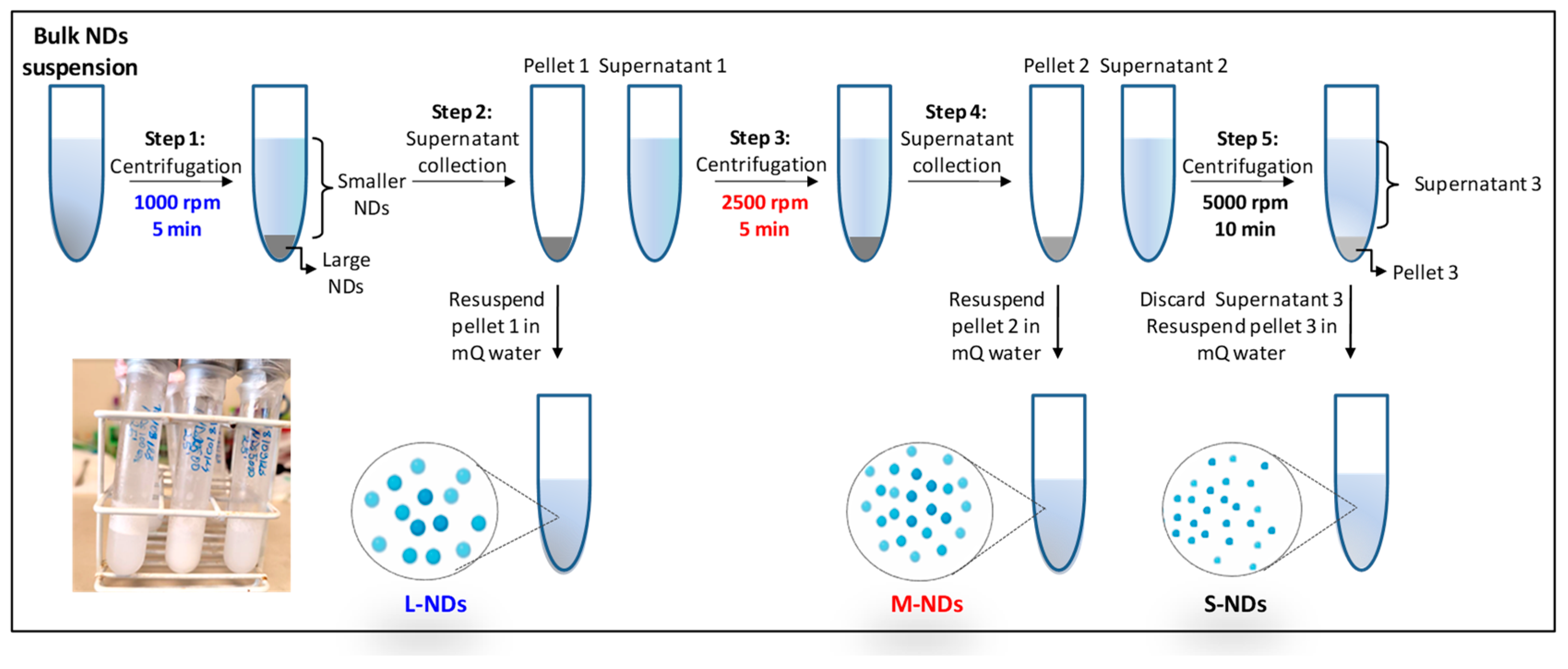 Nanomaterials 14 01643 g001