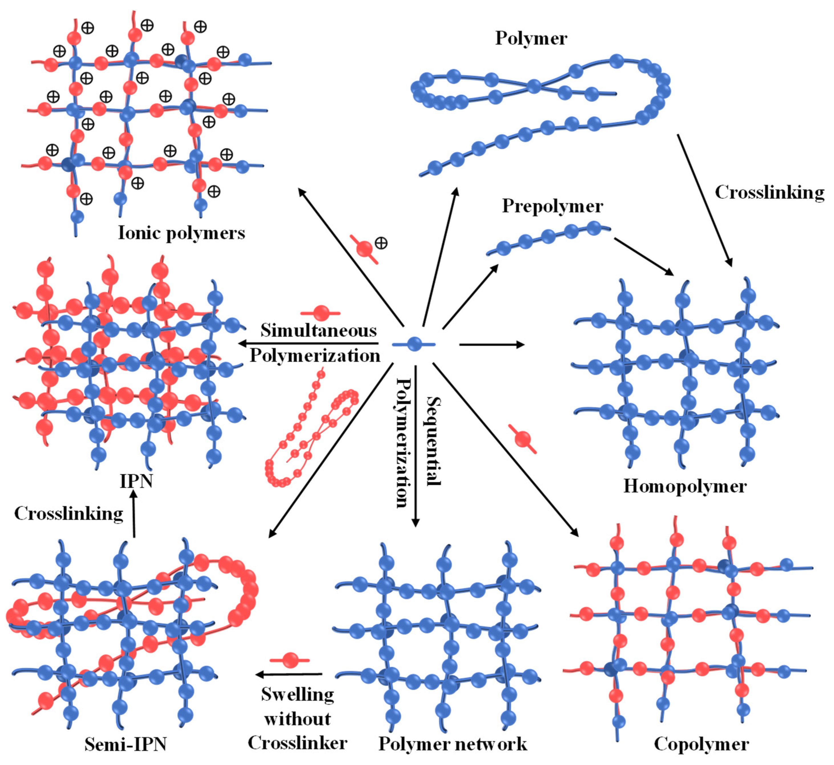Nanomaterials 14 01645 g001
