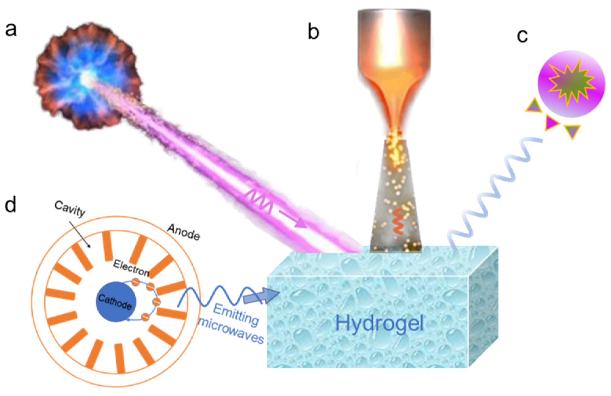 Nanomaterials 14 01645 g004